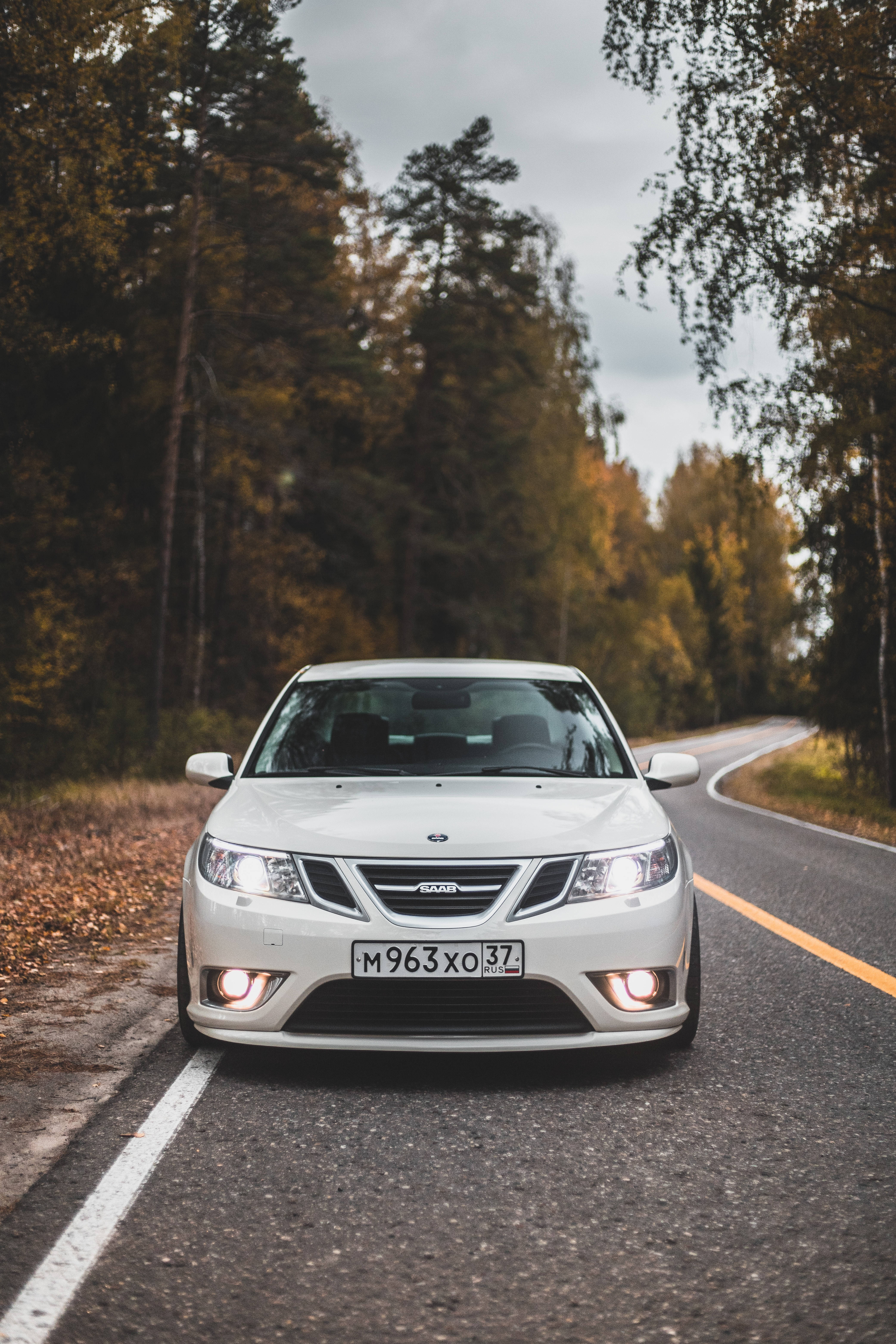Saab 桌布 壁紙 — 一輛白色Saab房車亮著車頭燈，在陰天下行駛在一條蜿蜒的森林道路上，兩旁是秋天的樹木。