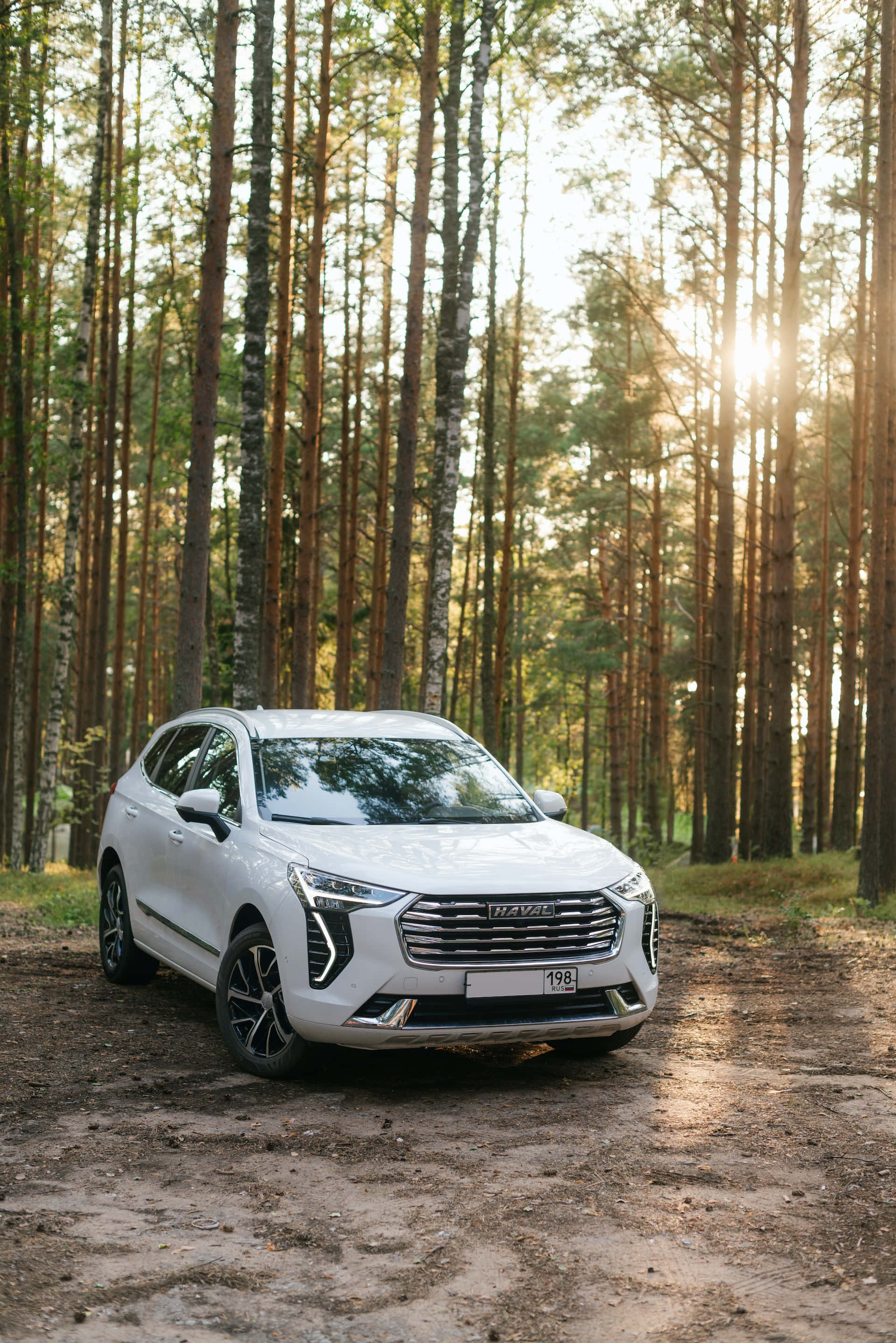 Haval 桌布 壁紙 — 一輛白色SUV停放在陽光普照的松樹林中的泥土路上，高大的樹木投下長長的陰影。