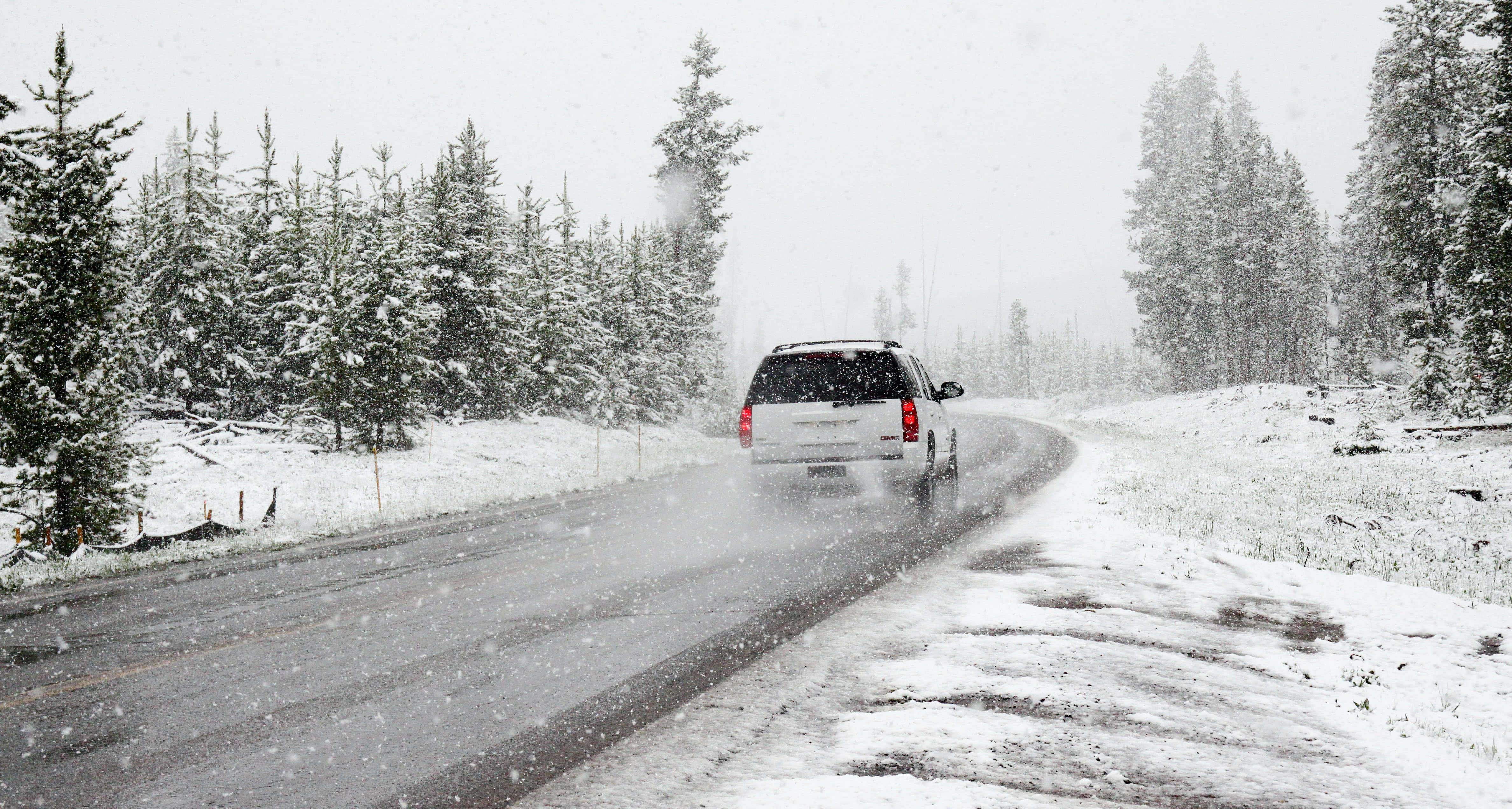 road trip 桌布 壁紙 — 一輛白色SUV在積雪的森林道路上謹慎行駛，大雪落在常青樹周圍。