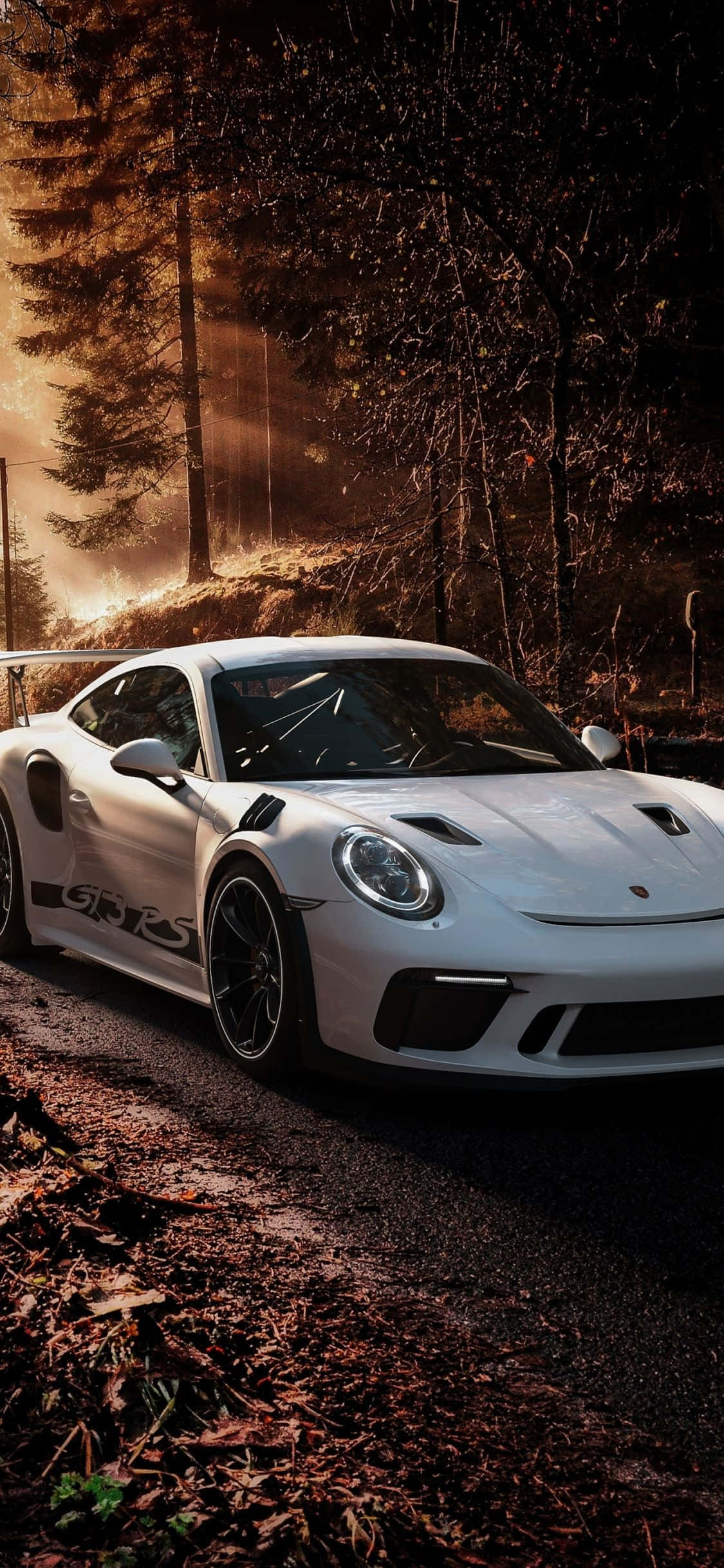 Porsche iPhone 桌布 壁紙 — 一輛白色保時捷911 GT3 RS停放在森林道路上，沐浴在透過高大樹木灑落的金色夕陽光中。