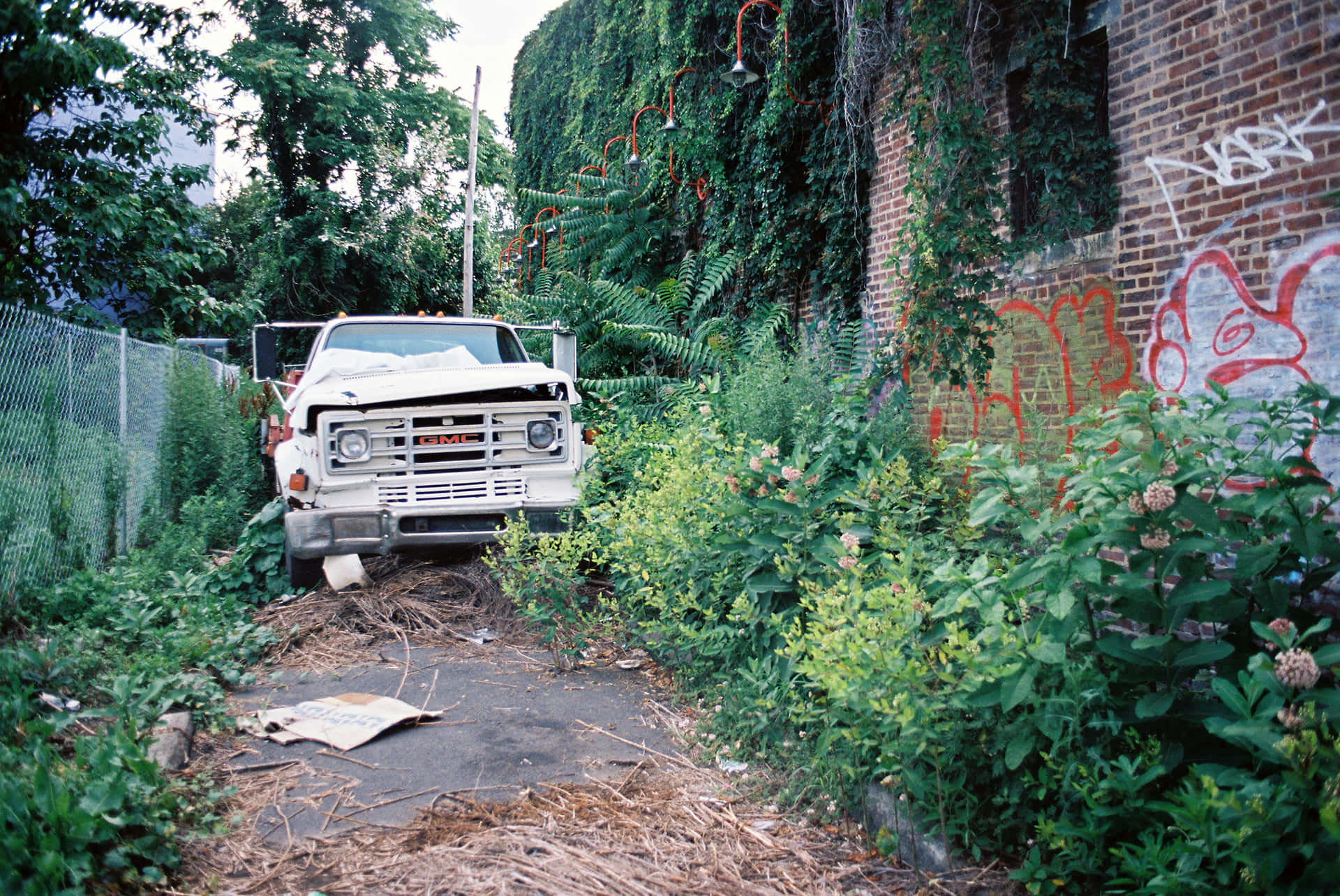 Abandoned 桌布 壁紙 — 一輛白色卡車被遺棄，旁邊的磚牆上佈滿塗鴉，車身被野生植物覆蓋。