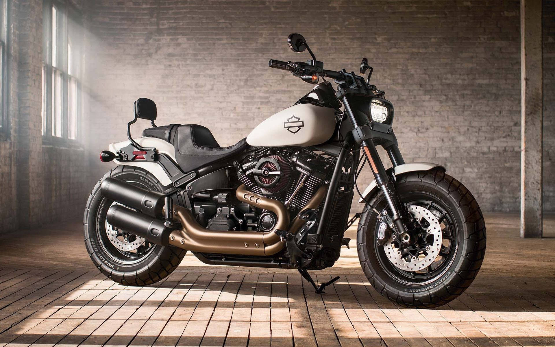 Harley 桌布 壁紙 — 一輛白色和青銅色的哈雷戴維森摩托車，線條流暢，停放在陽光普照的磚造倉庫內，地板是木製的，橫樑上佈滿灰塵。
