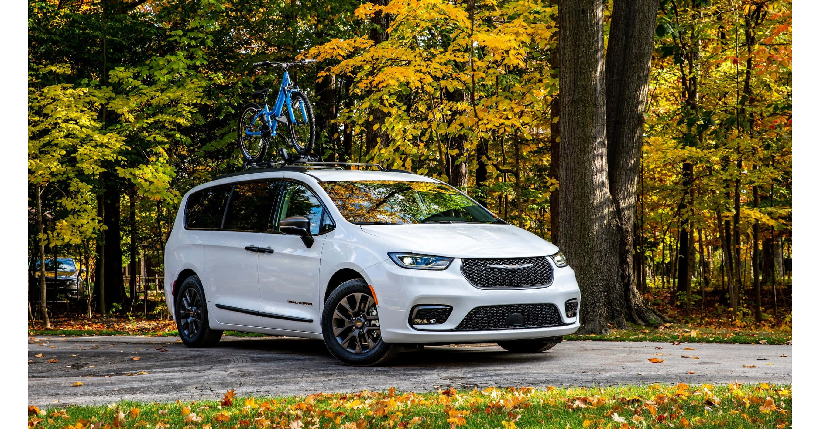 Chrysler Pacifica 桌布 壁紙 — 一輛白色小型貨車車頂載著一輛藍色自行車，停泊在充滿鮮豔秋葉的森林道路上。