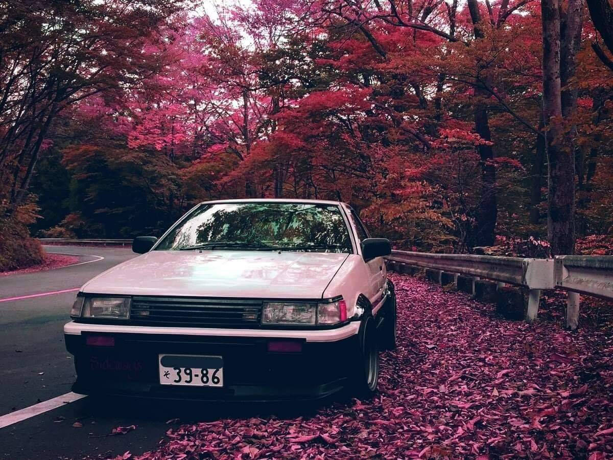 Autumn Leaves 桌布 壁紙 — 一輛白色復古跑車停泊在蜿蜒的道路上，周圍是充滿活力的粉紅色秋葉。