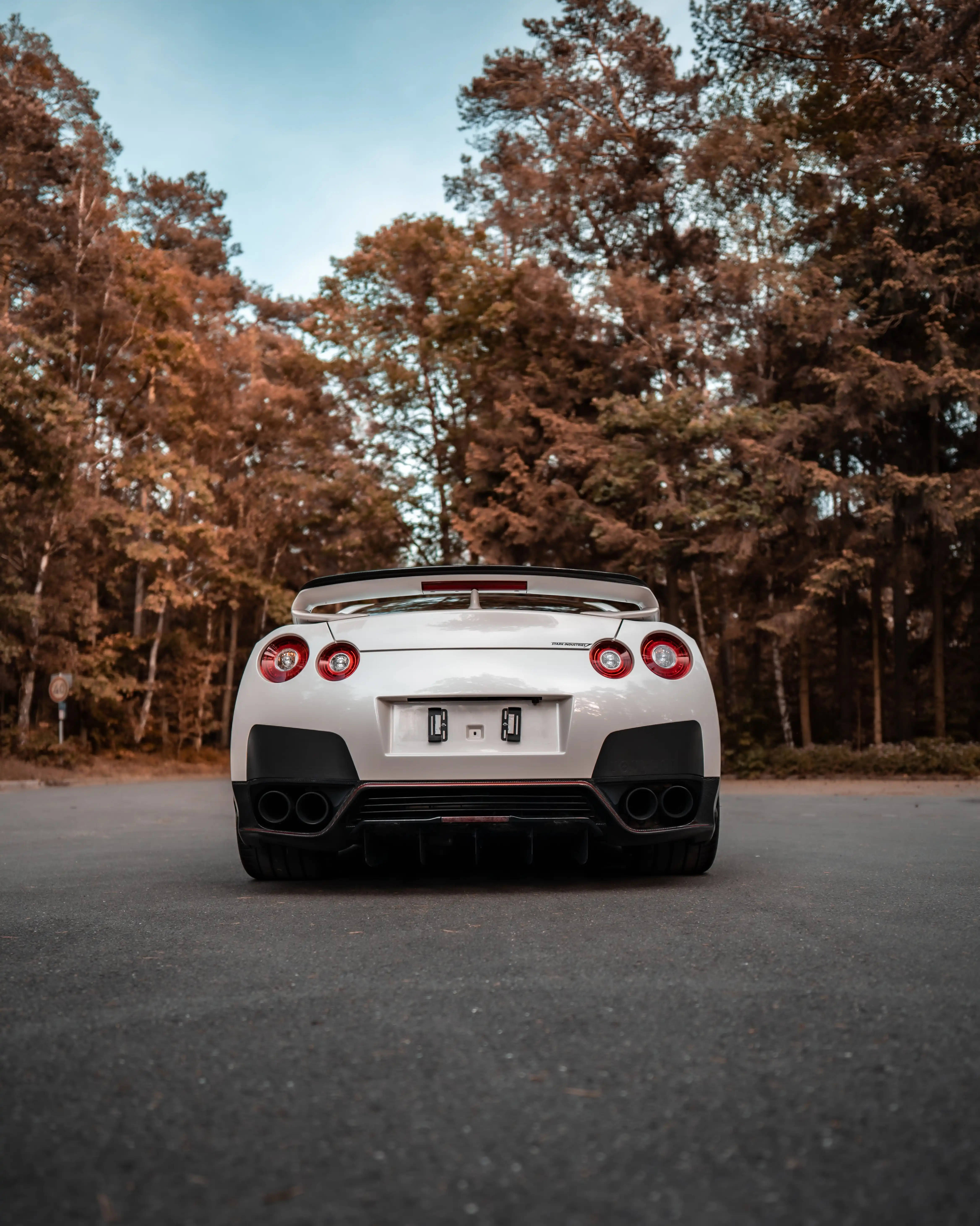 Nissan 桌布 壁紙 — 一輛白色日產GT-R跑車，帶紅色尾燈，停在鋪滿落葉的瀝青路上，周圍是秋樹。