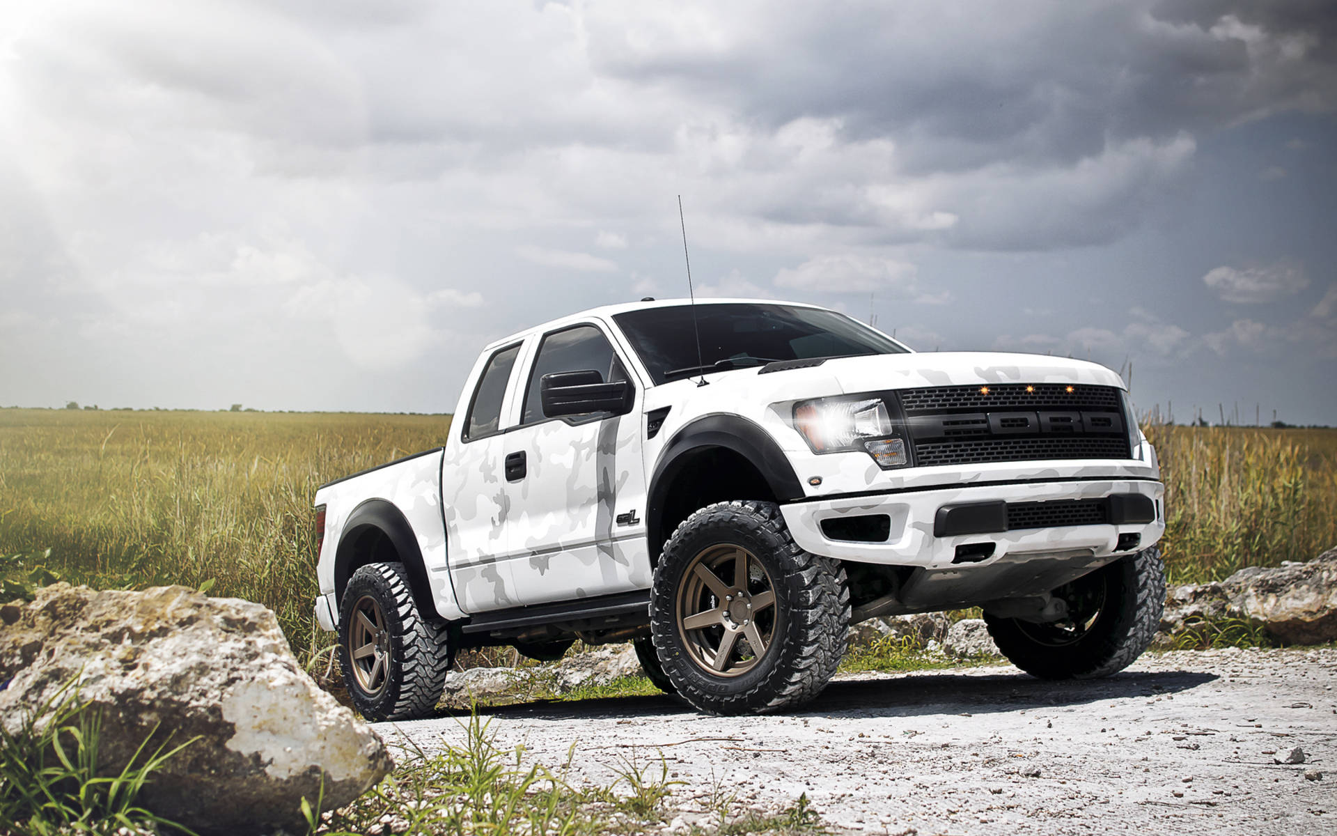 白色福特 F-150 Raptor 貨車停放在碎石上，有草和岩石，天空多雲