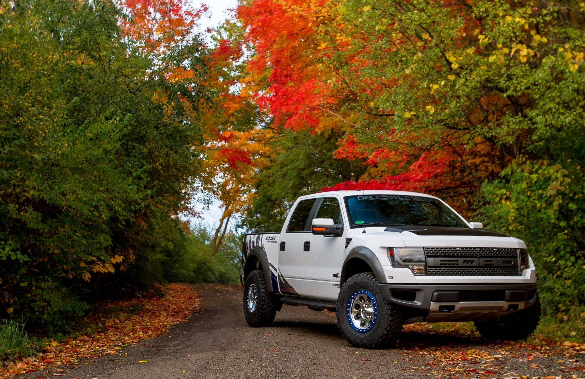 Raptor 桌布 壁紙 — 一輛白色福特F-150 Raptor停泊在森林道路上，周圍是充滿活力的秋樹，有紅色、橙色和綠色的樹葉。