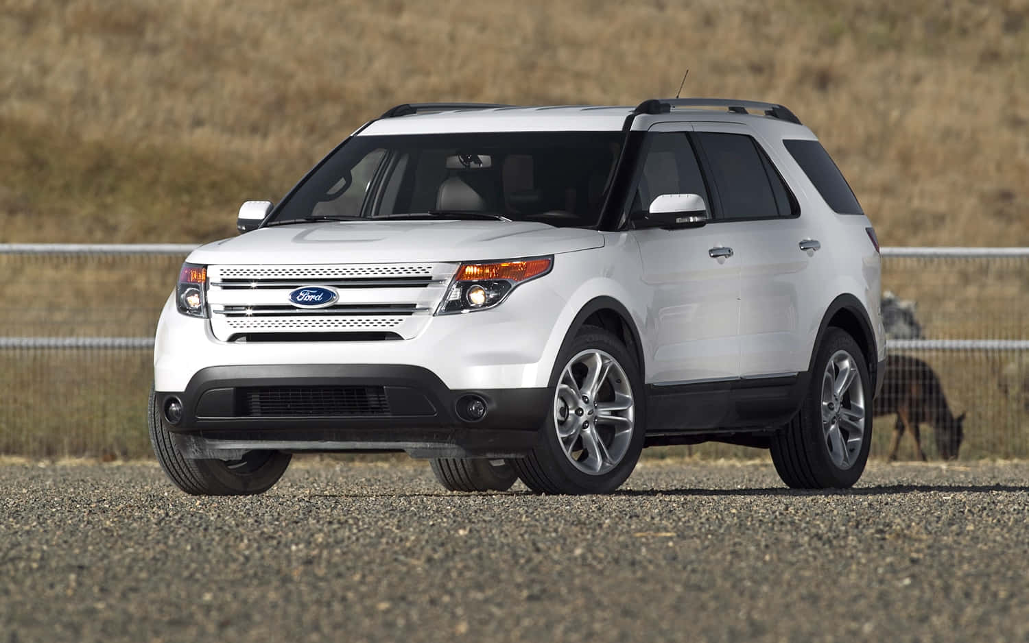 Ford Explorer 桌布 壁紙 — 一輛白色福特探索者SUV停放在碎石上，後面有圍欄和乾草。