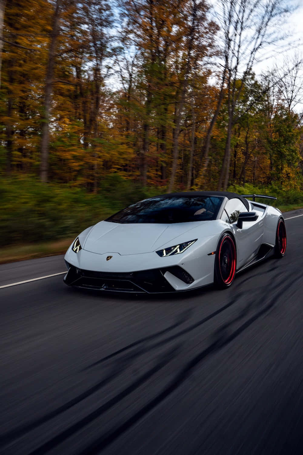 Vehicle 桌布 壁紙 — 一輛白色藍寶堅尼Huracán Spyder配紅色輪圈，在秋葉中的森林道路上飛馳。
