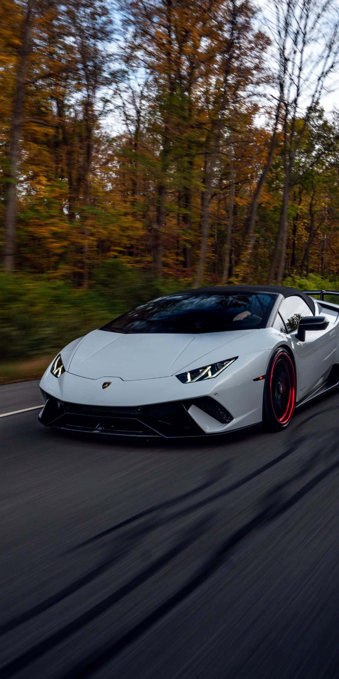 Pixel 3 Lamborghini 桌布 壁紙 — 一輛白色藍寶堅尼Huracán Spyder在秋葉林間高速飛馳，樹葉因移動而模糊。