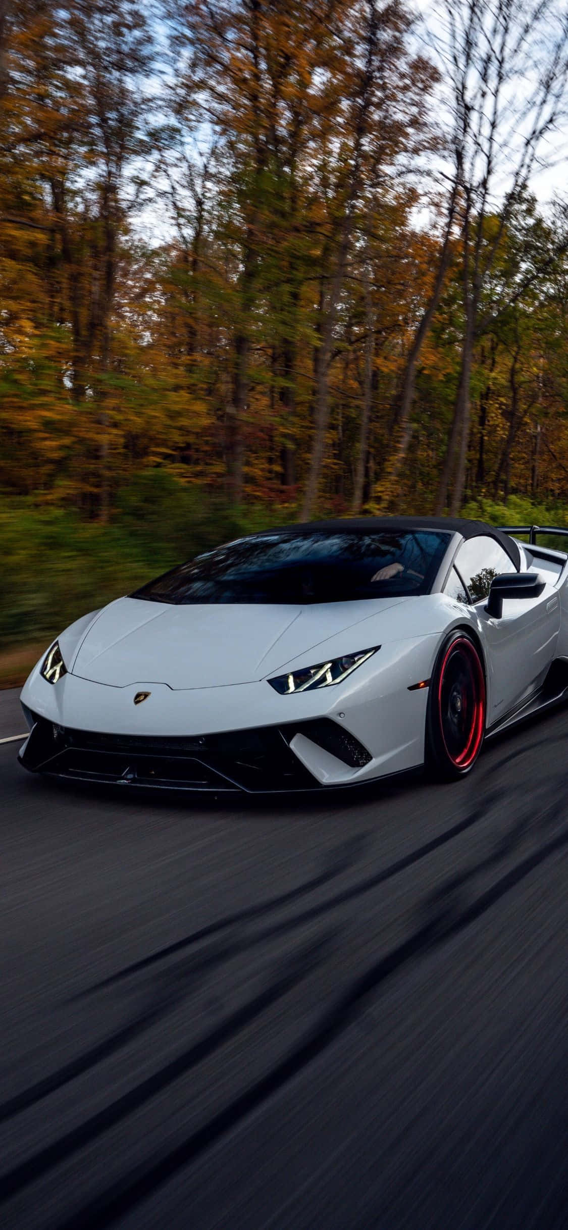 Lamborghini Phone 桌布 壁紙 — 一輛白色藍寶堅尼Huracán Spyder在晴朗天空下，穿過秋葉林間疾馳。