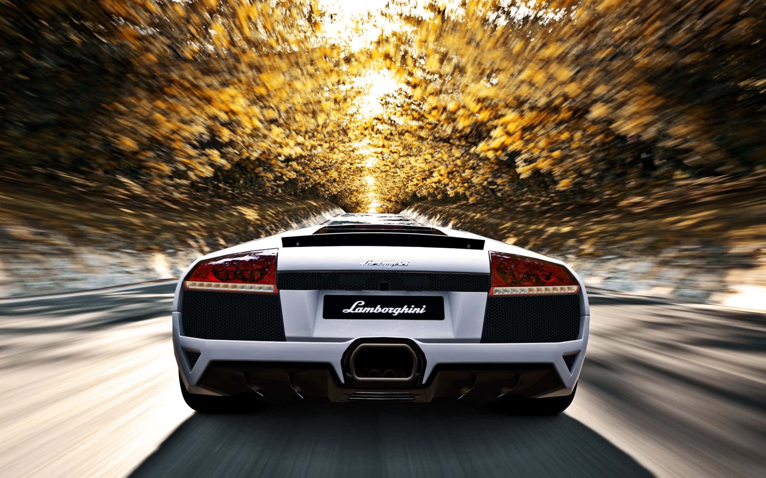 Lamborghini Murciélago 桌布 壁紙 — 一輛白色藍寶堅尼在金色秋葉隧道中高速行駛，帶有動態模糊效果。