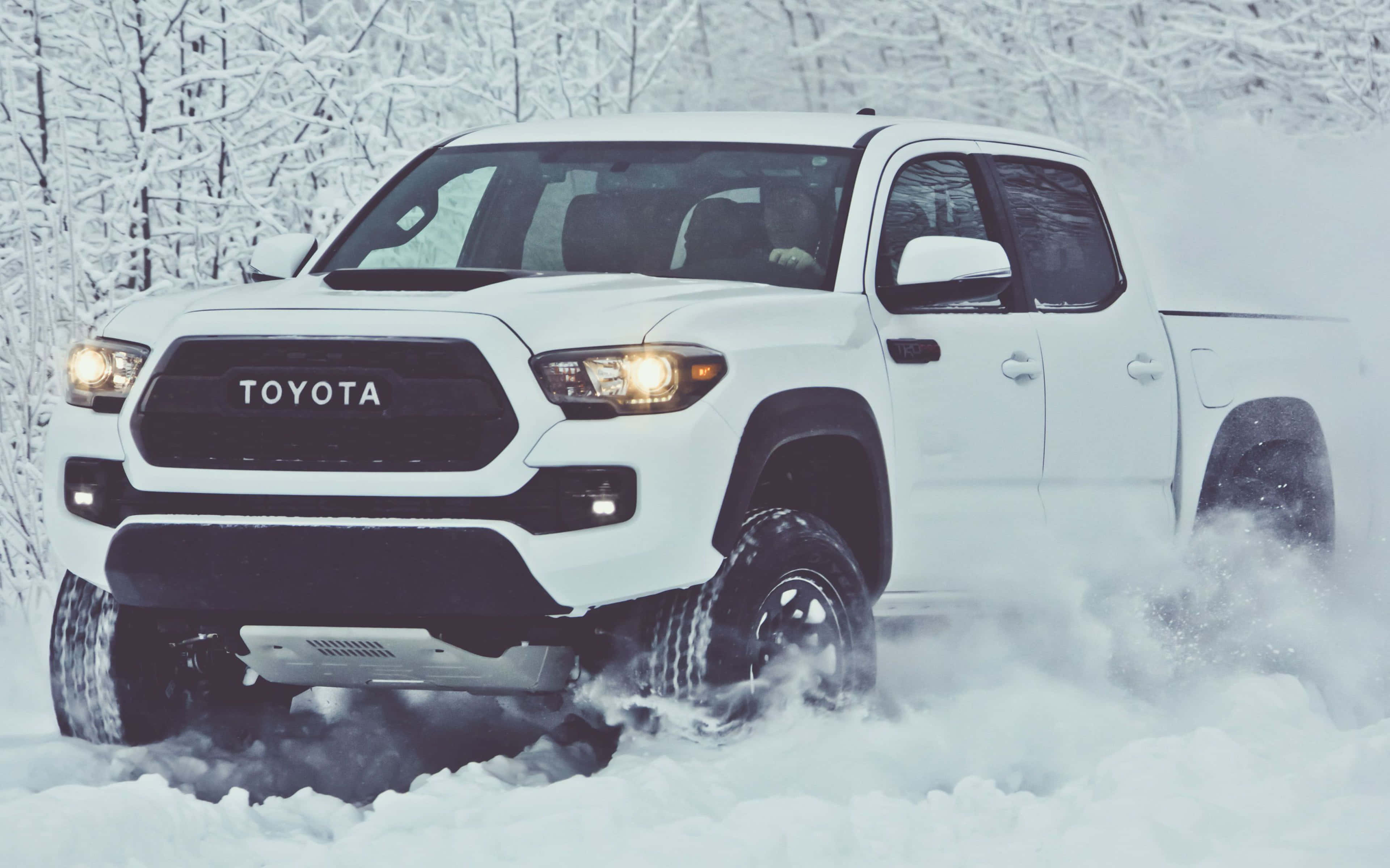 Toyota 桌布 壁紙 — 一輛白色豐田Tacoma卡車在深雪中行駛，車頭燈在雪地森林背景下閃耀。