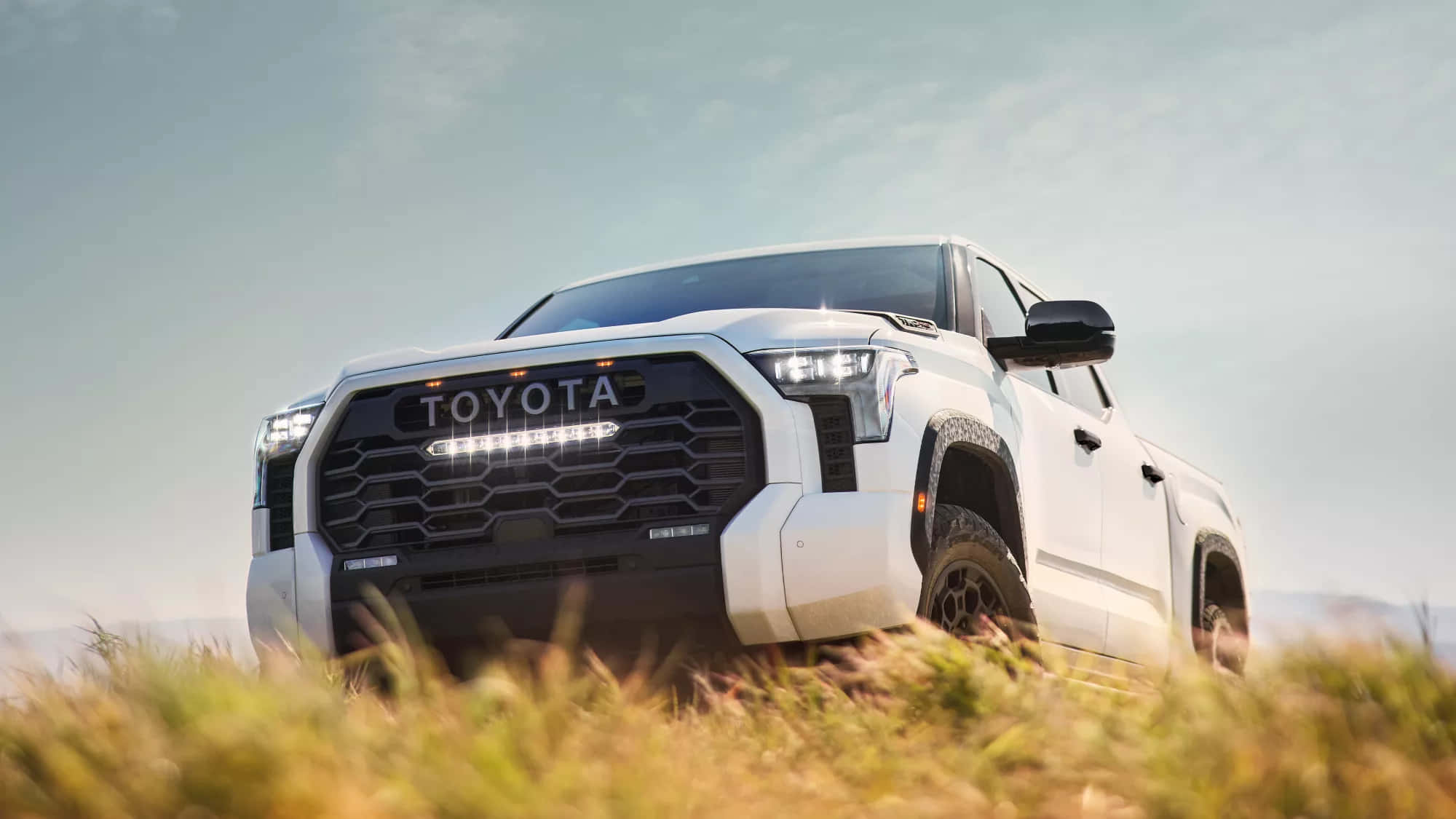 Toyota 桌布 壁紙 — 一輛白色豐田皮卡車在柔和的藍天下，大膽地矗立在高高的金色草叢中。
