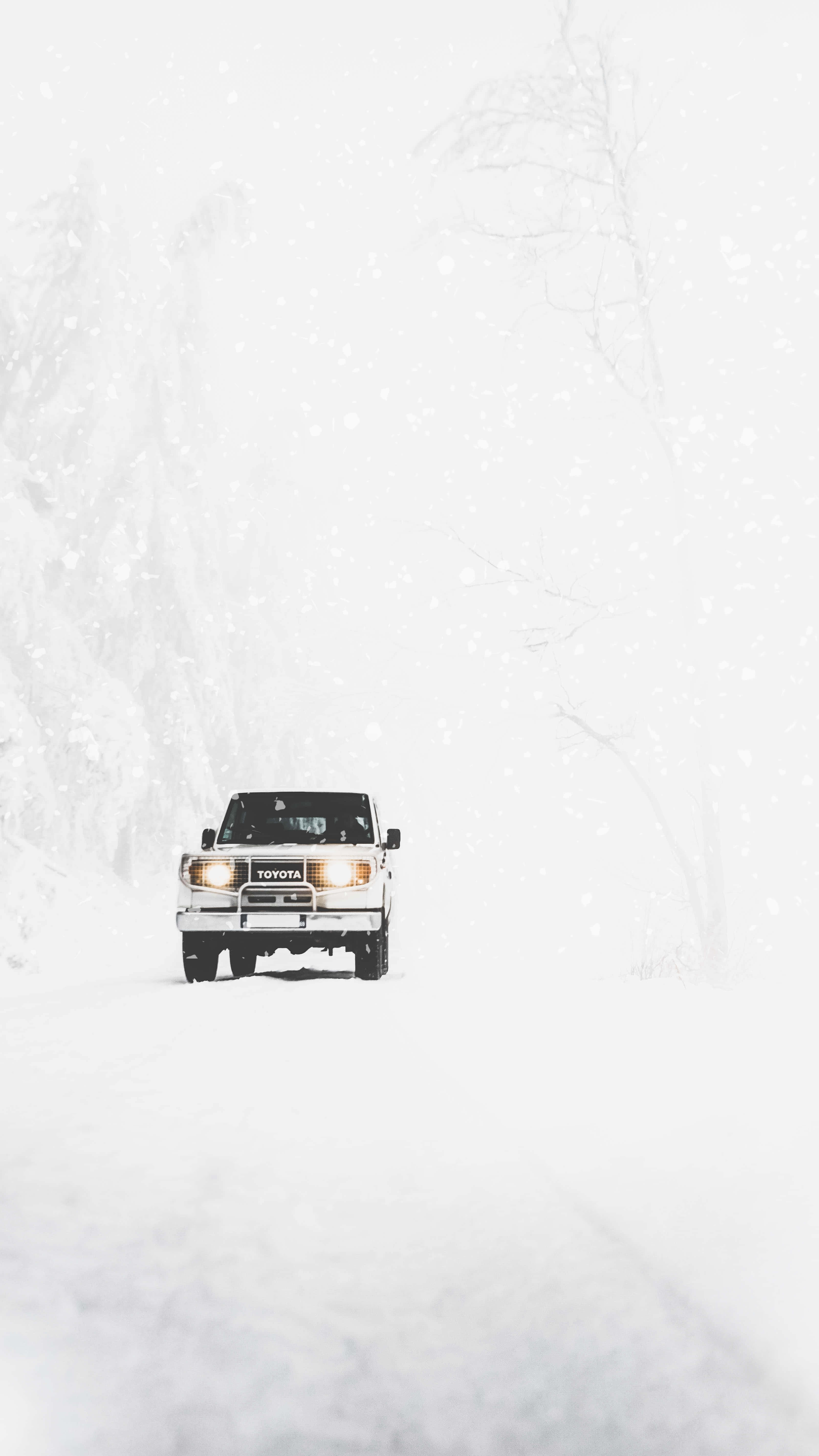 White Snow 桌布 壁紙 — 一輛白色豐田貨車在暴風雪中行駛，車頭燈穿過飄落的雪花和光禿的樹木。