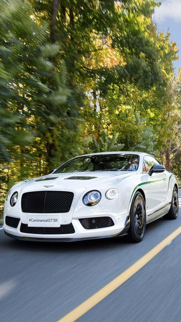bentley HD 桌布 壁紙 — 一輛白色賓利 Continental GT3R 在樹林環繞的道路上奔馳，帶有動態模糊效果，金色陽光穿過秋日樹木灑落。