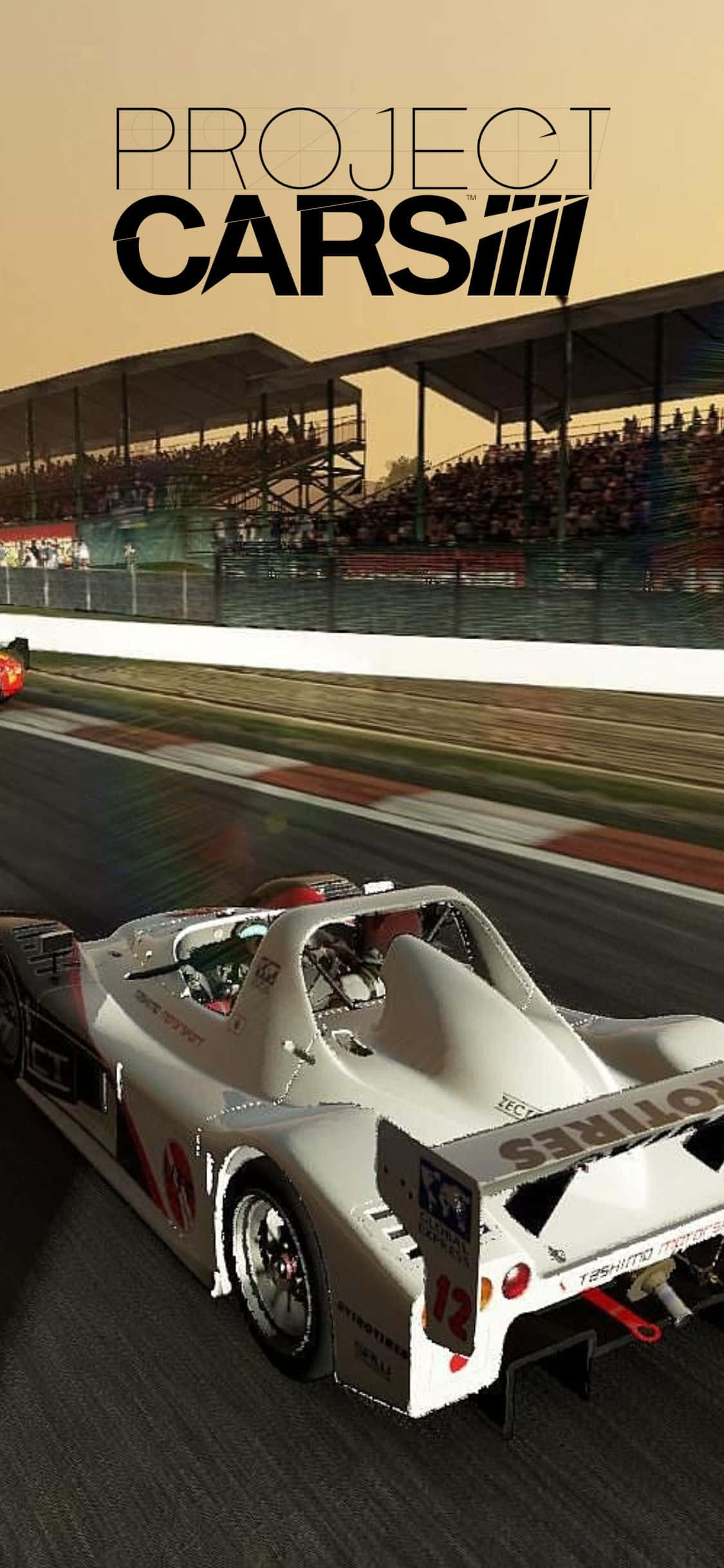 iPhone Xs Project Cars 桌布 壁紙 — 一輛白色賽車在賽道上疾馳，看台上模糊的觀眾在朦朧的天空下。