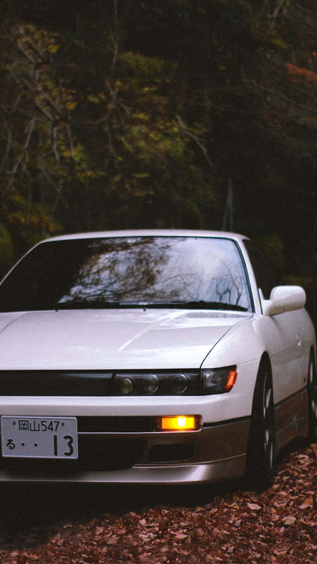 Nissan Silvia S13 桌布 壁紙 — 一輛白色跑車停在鋪滿秋天落葉的森林地面上，背景有樹木。
