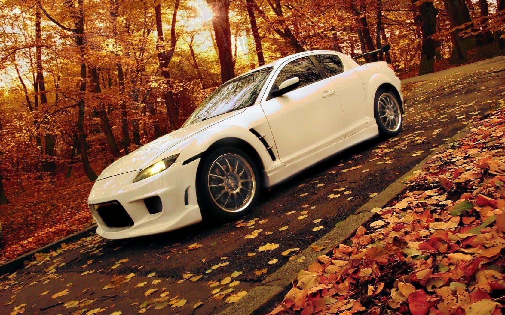 Mazda Rx-8 桌布 壁紙 — 一輛白色跑車在鋪滿落葉的森林道路上滑行，沐浴在金色的秋日陽光中。