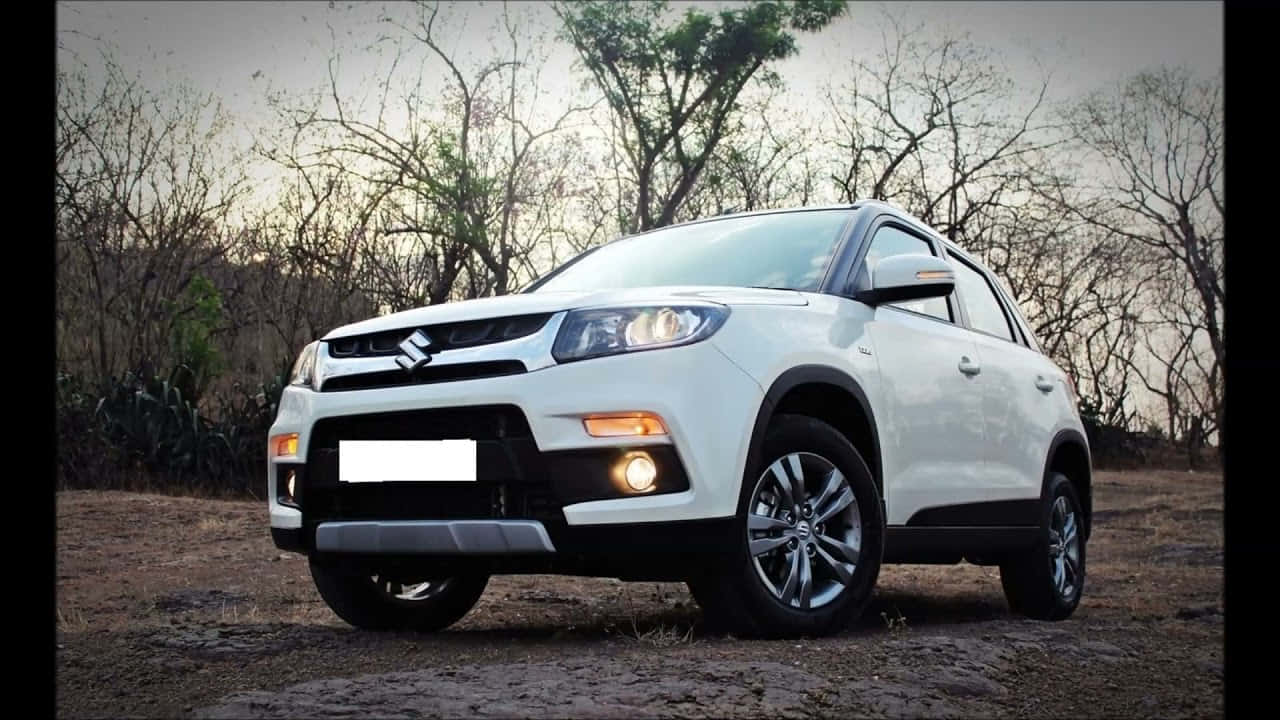 Car Model 桌布 壁紙 — 一輛白色鈴木SUV停泊在泥地上，背景是光禿禿的樹木，天空色調柔和。