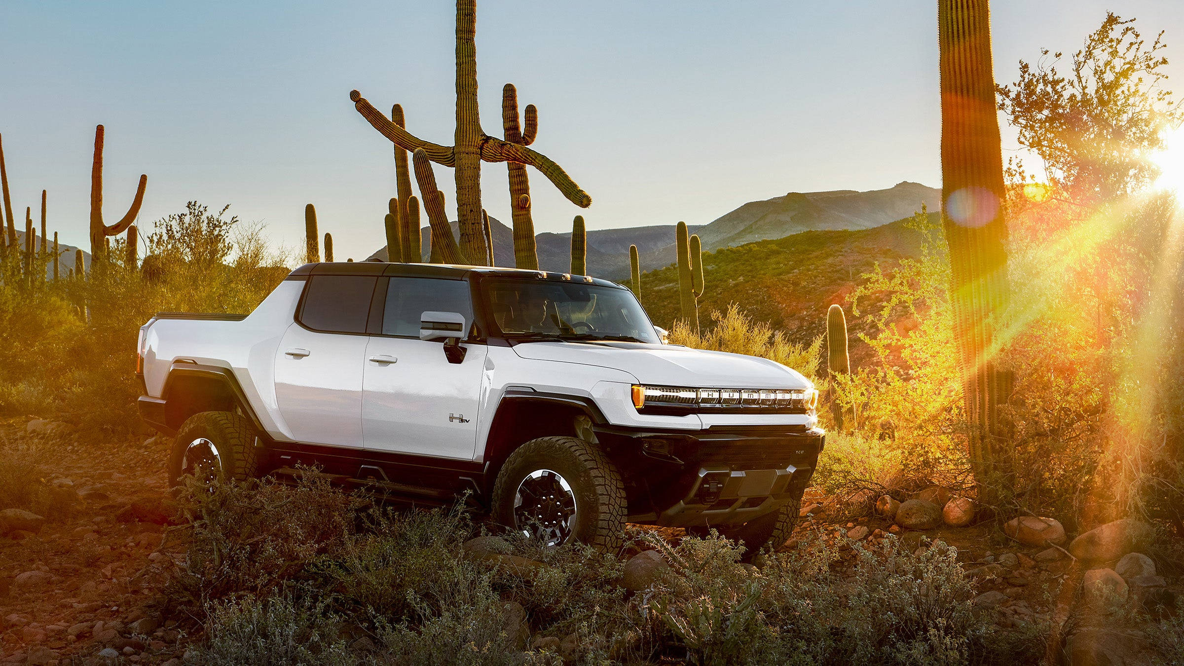 Cactus 桌布 壁紙 — 一輛白色電動皮卡車停放在金色日落沙漠中高大的薩瓜羅仙人掌之間。