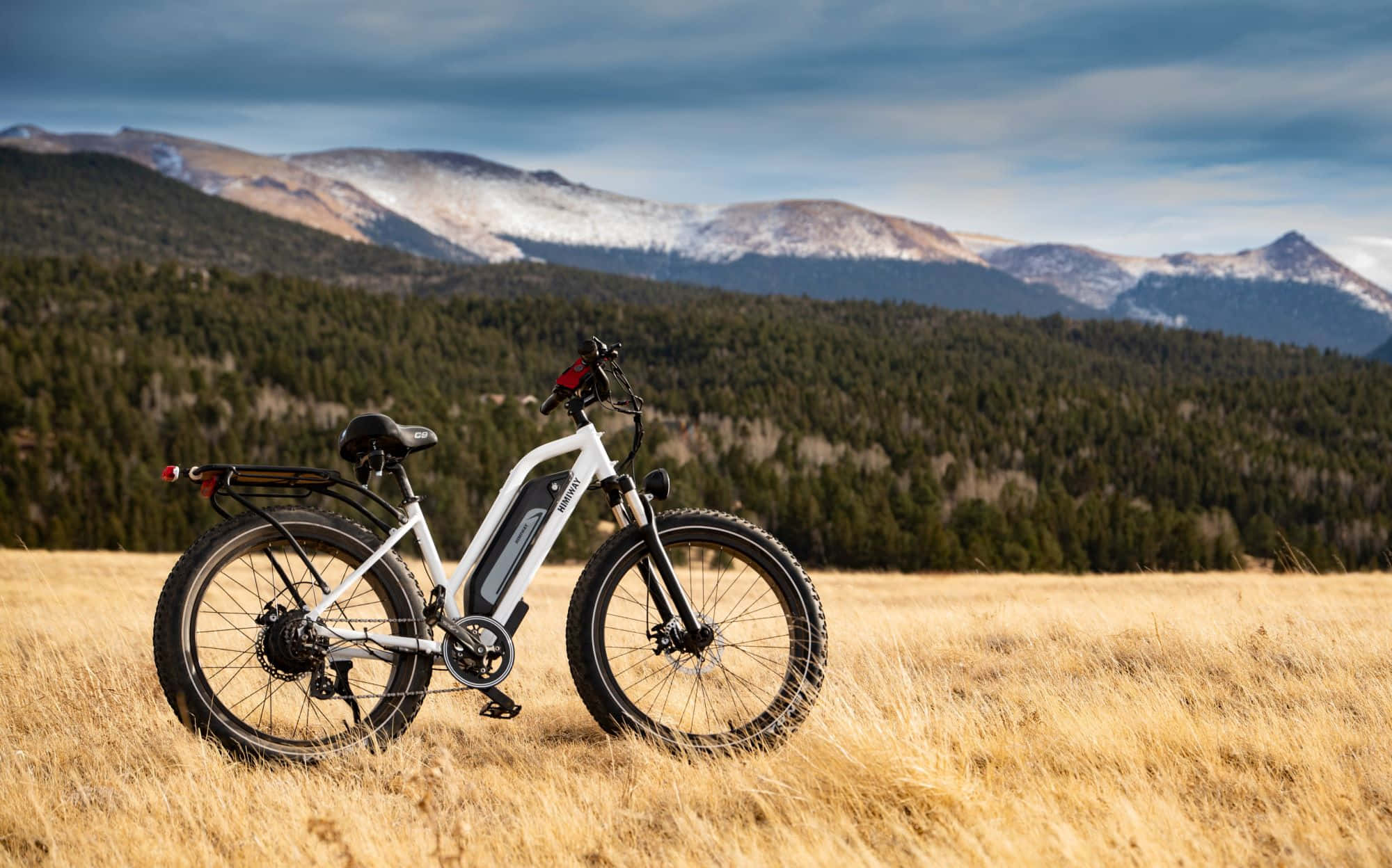 Electric Bike 桌布 壁紙 — 一輛白色電動自行車獨自矗立在金色草地上，背景是白雪覆蓋的山脈和茂密的森林，天空多雲。