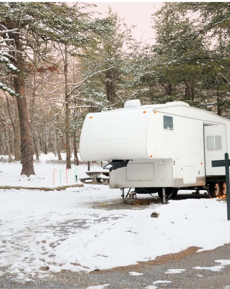 Winter Camping 桌布 壁紙 — 一輛白色露營拖車停放在雪地森林空地，附近有松樹和野餐桌。