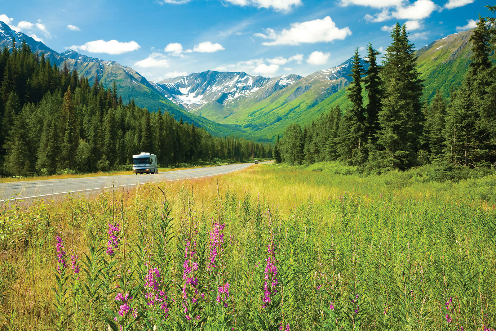 Mountain Landscape 桌布 壁紙 — 一輛白色露營車沿著蜿蜒的道路行駛，穿過一片生機勃勃的綠色草地，草地上點綴著紫色野花，兩旁是茂密的常綠森林和雄偉的雪山，頭頂是明亮的藍天和蓬鬆的白雲。