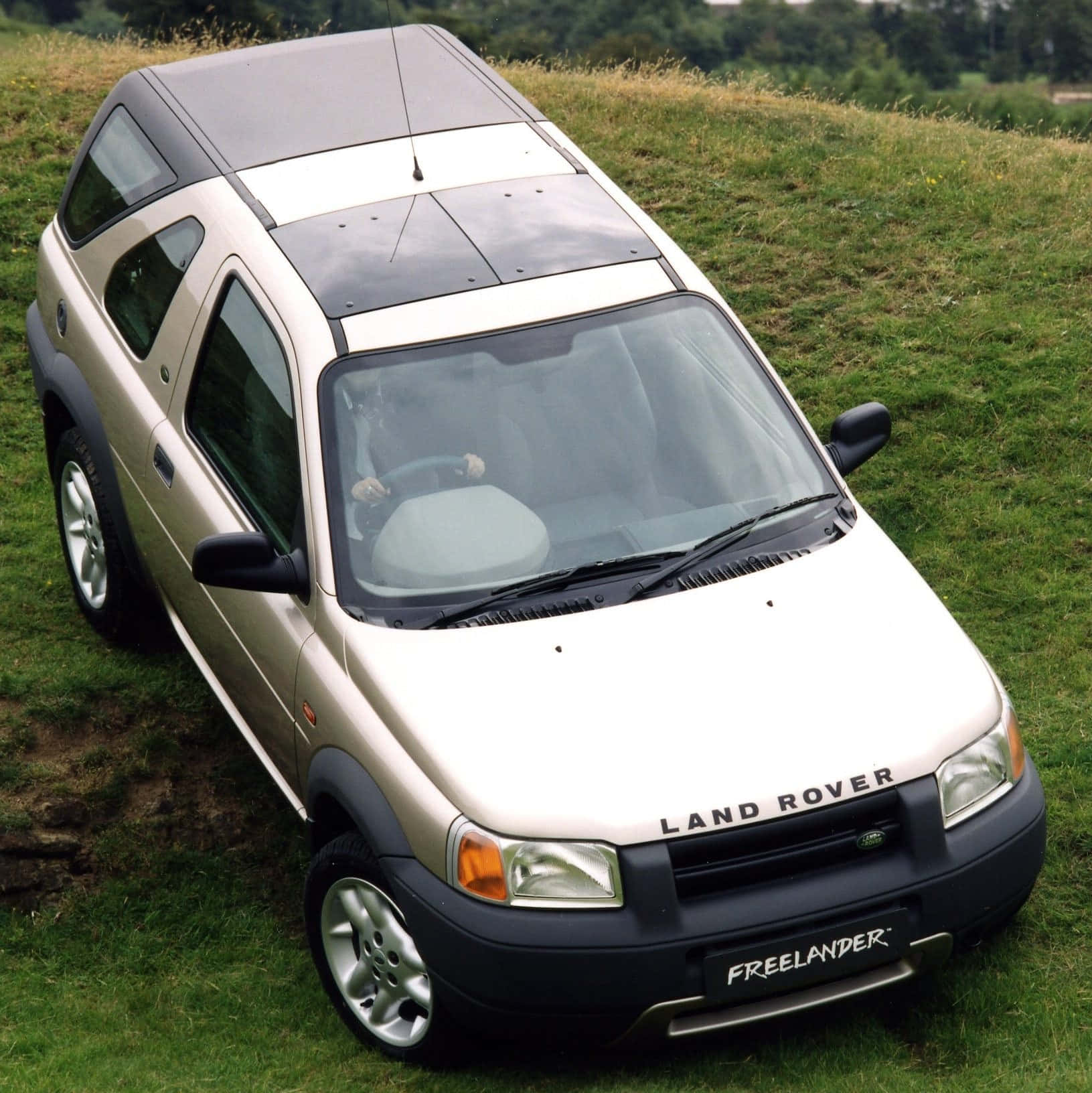 Land Rover Freelander 桌布 壁紙 — 一輛米色Land Rover Freelander SUV停放在草木茂盛的山丘上，背景是森林。