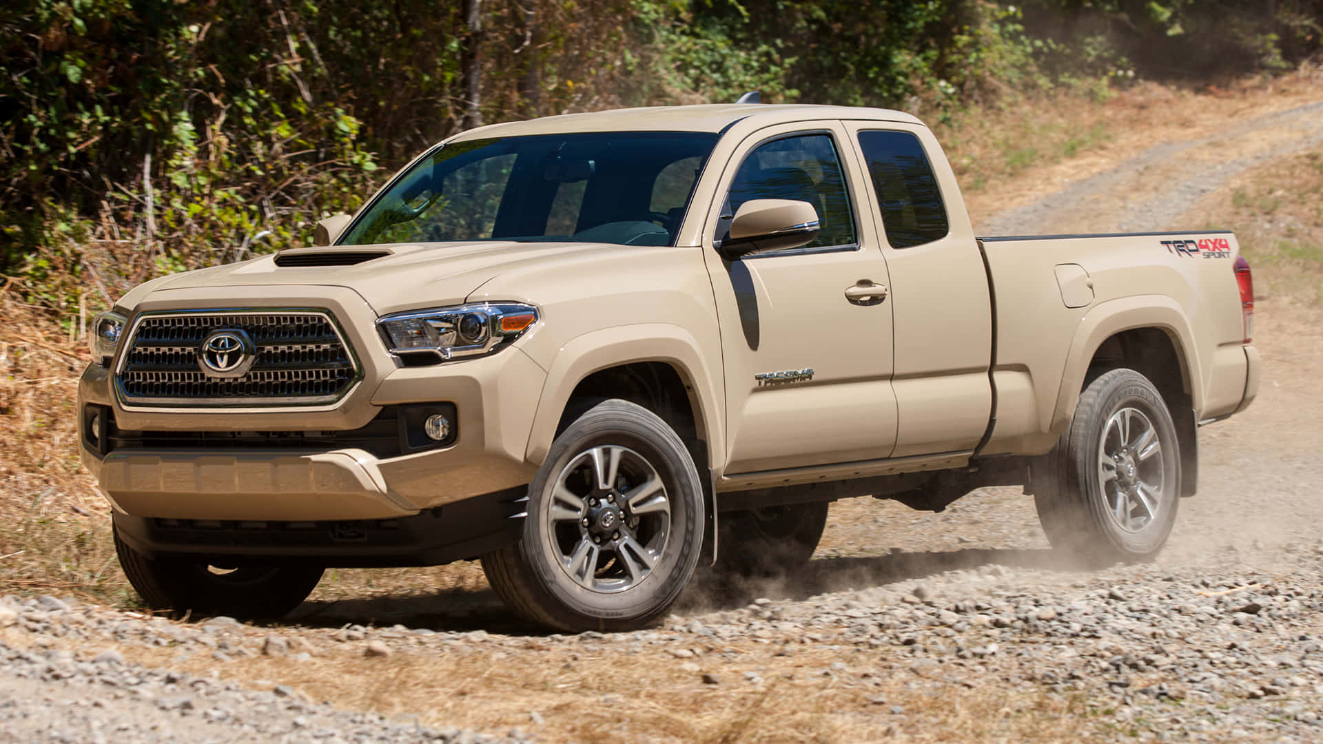 桌布 壁紙 — 一輛米色豐田 Tacoma TRD Off-Road 皮卡車在乾燥灌木和樹木環繞的岩石泥土小路上行駛，揚起灰塵。