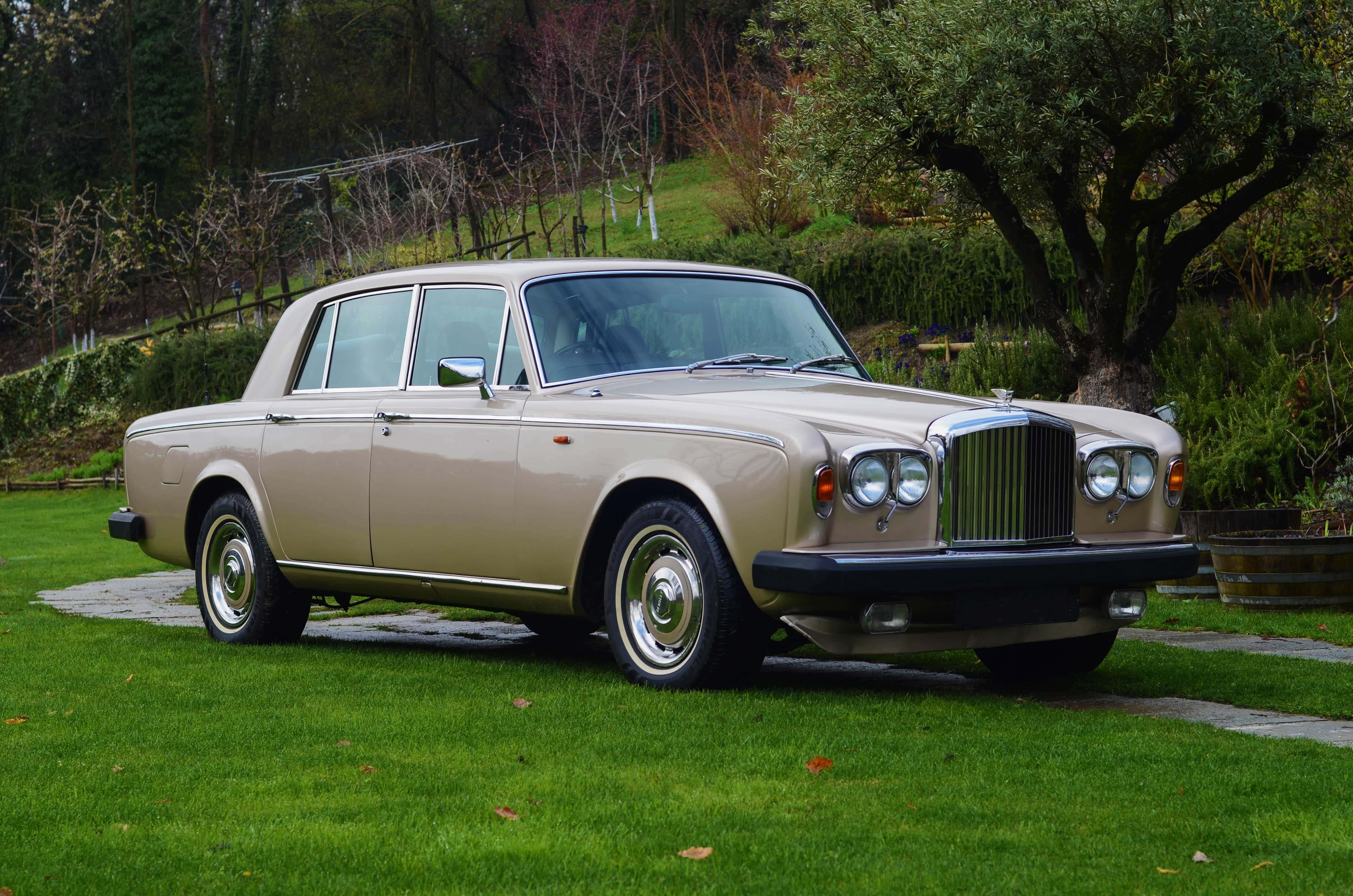 Bentley T2 桌布 壁紙 — 一輛米色賓利S1轎車停放在茂密的綠色草坪上，背景有樹木和一條石徑。