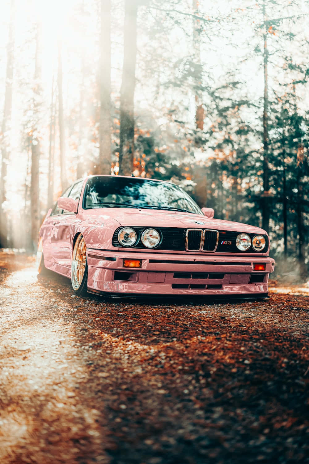 BMW 動圖 桌布 壁紙 — 一輛粉紅色BMW E30 M3在陽光普照的森林中飄移，金色光線穿過高大的樹木。