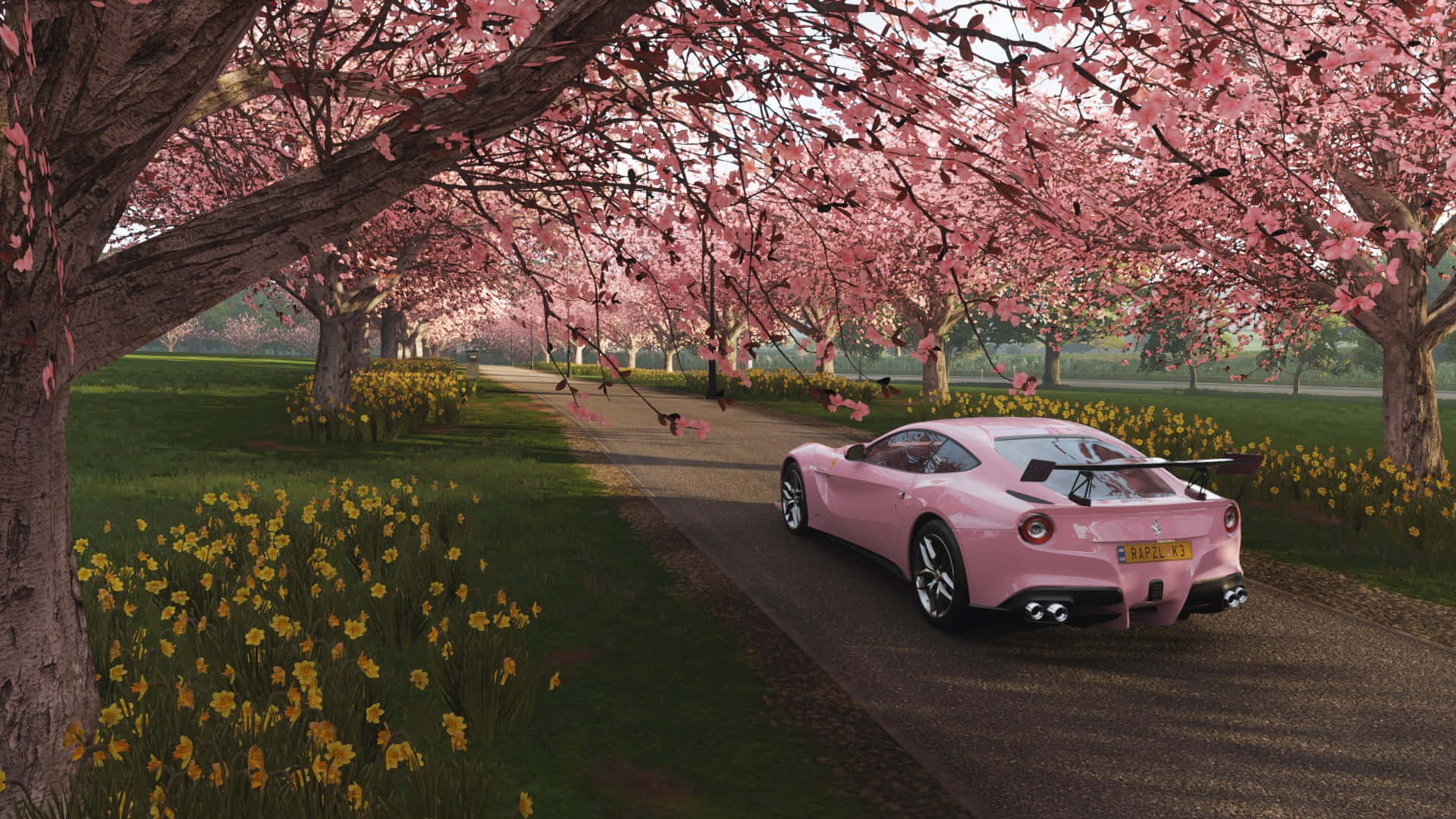 HD Forza Horizon 4 桌布 壁紙 — 一輛粉紅色跑車在盛開的櫻花樹冠下行駛，路邊種滿了黃色水仙花。