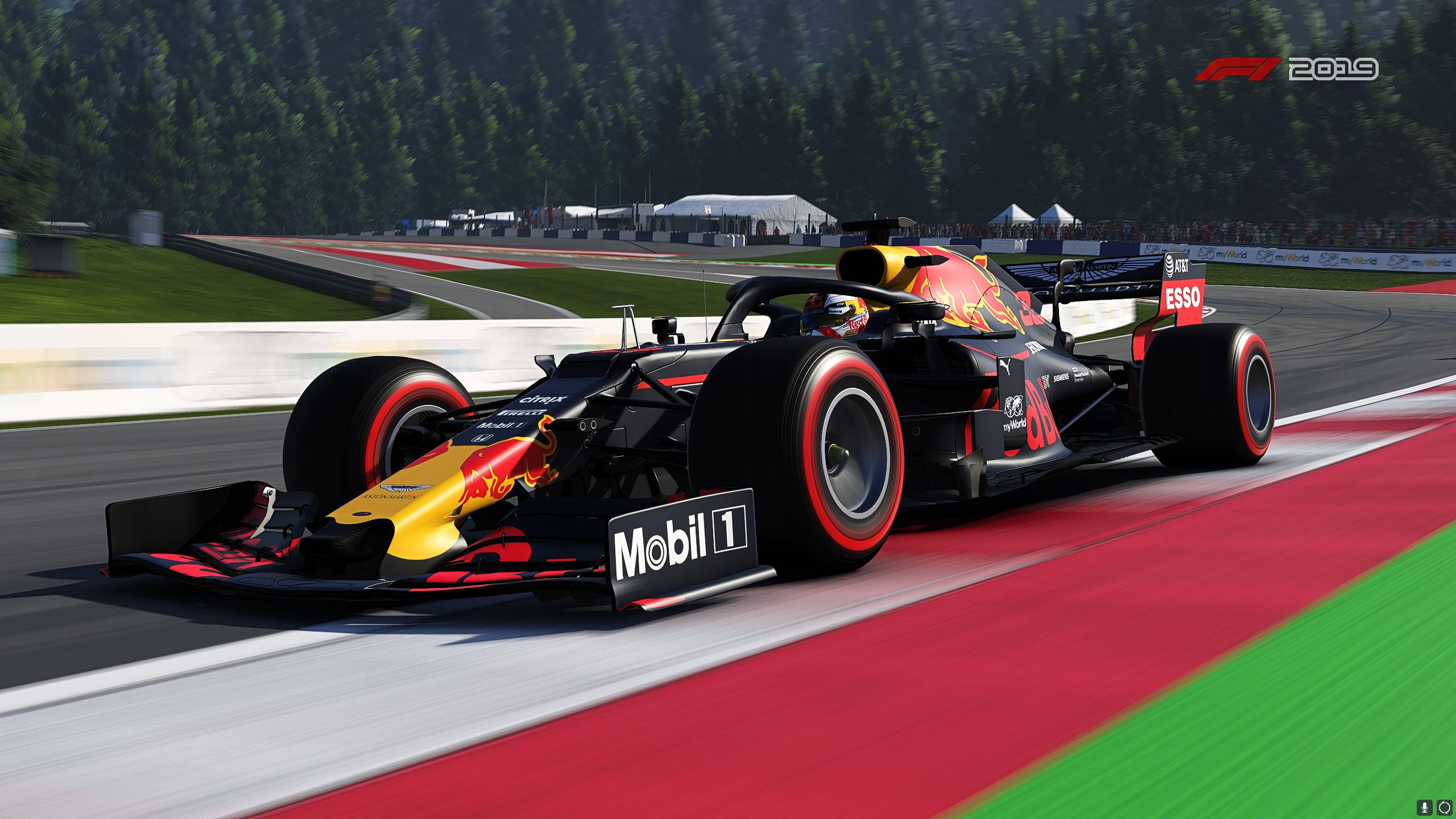 F1 2019 壁紙 桌布 壁紙 — 一輛紅牛一級方程式賽車沿著賽道疾馳，賽道兩旁有紅色和綠色的路緣石，背景是森林覆蓋的山丘。
