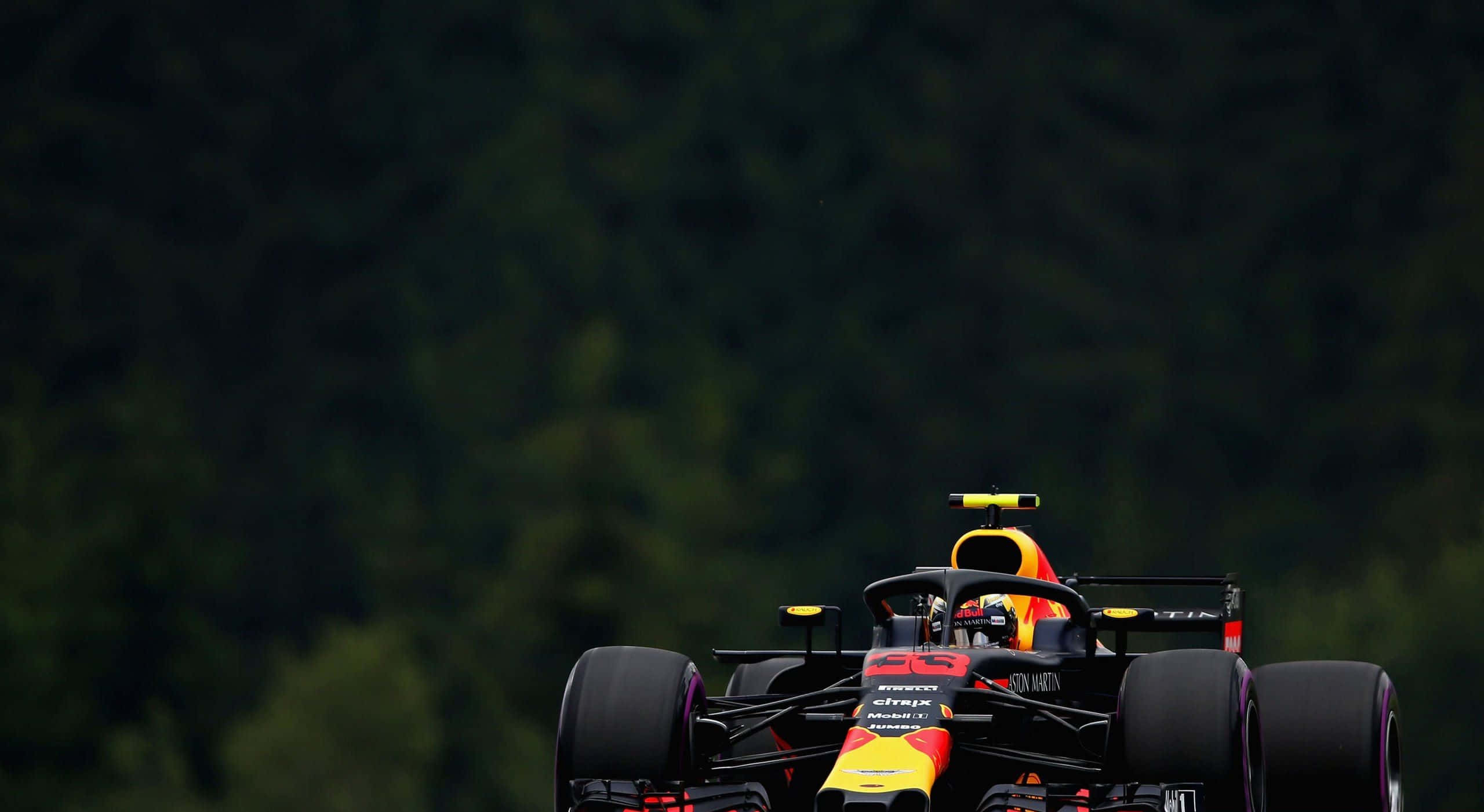 Max Verstappen 桌布 壁紙 — 一輛紅牛車隊一級方程式賽車在森林賽道上疾馳，背景是深綠色的樹木。