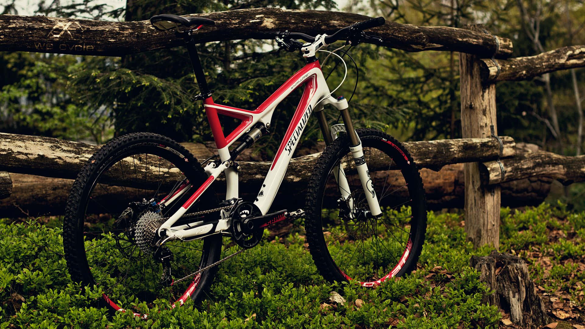 Mountain Bike 桌布 壁紙 — 一輛紅白相間的山地自行車靠在一道質樸的木柵欄上，周圍是茂密的綠色森林。