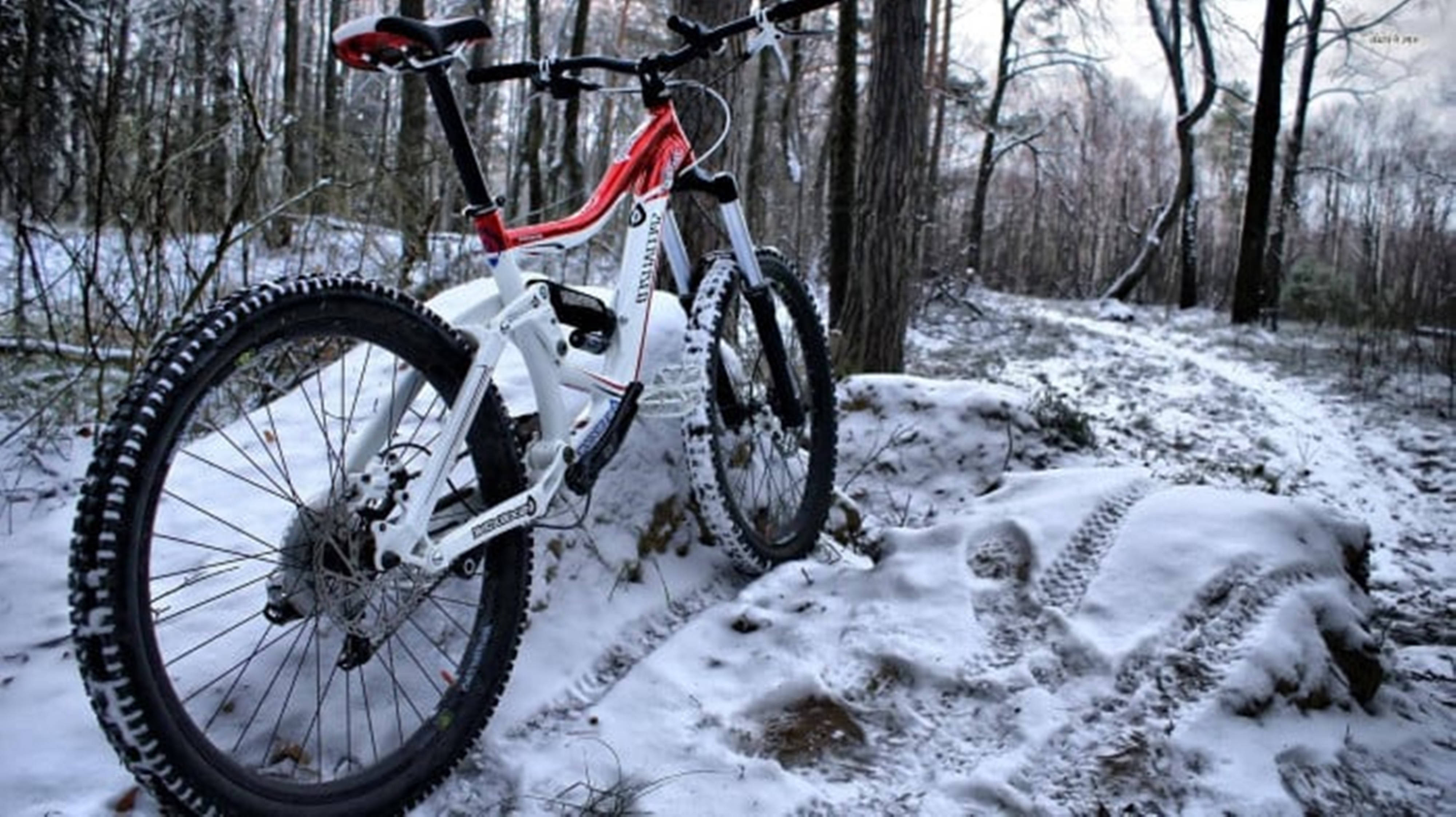 Mountain Bike 桌布 壁紙 — 一輛紅白色登山車停放在積雪的森林小徑上，輪胎痕跡蜿蜒穿過冬季樹林。
