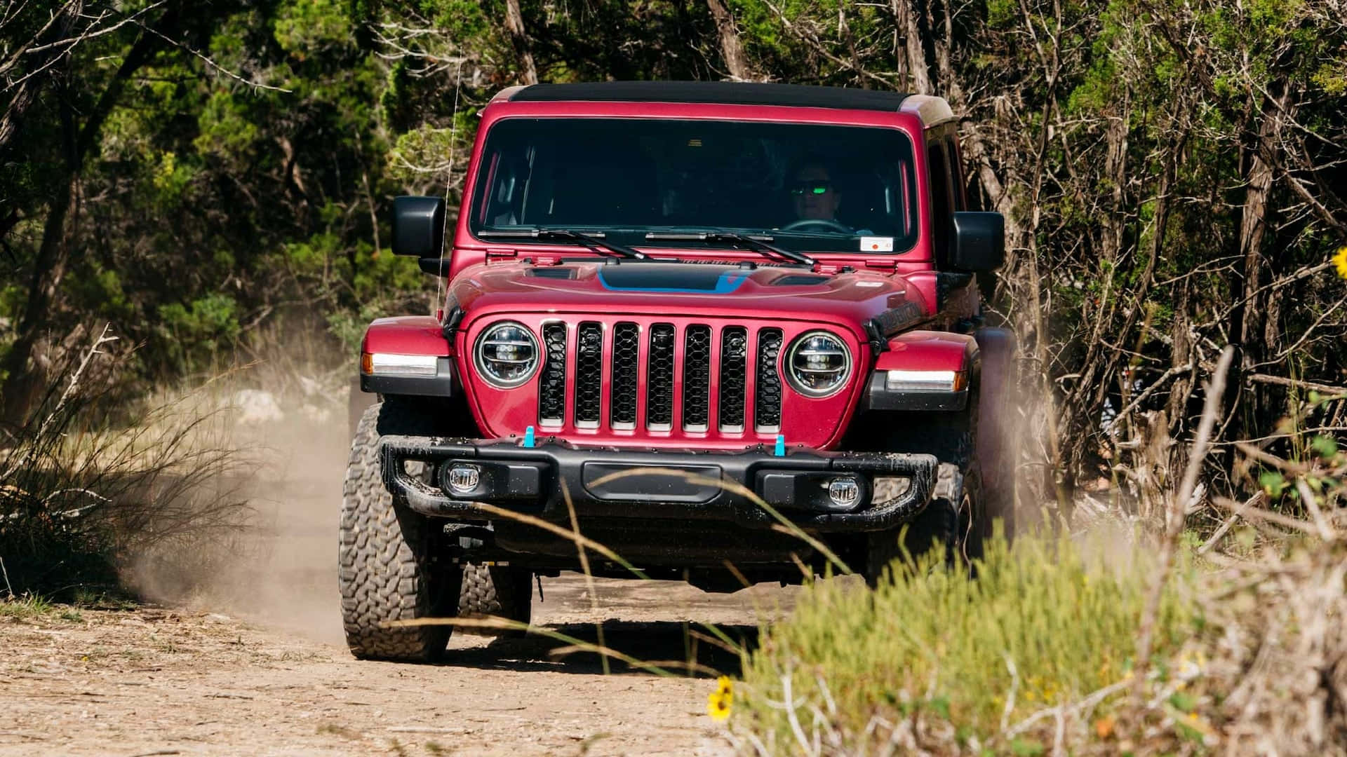 吉普 桌布 壁紙 — 一輛紅色Jeep Wrangler在塵土飛揚的森林小徑上激進地行駛，揚起泥土和草屑。