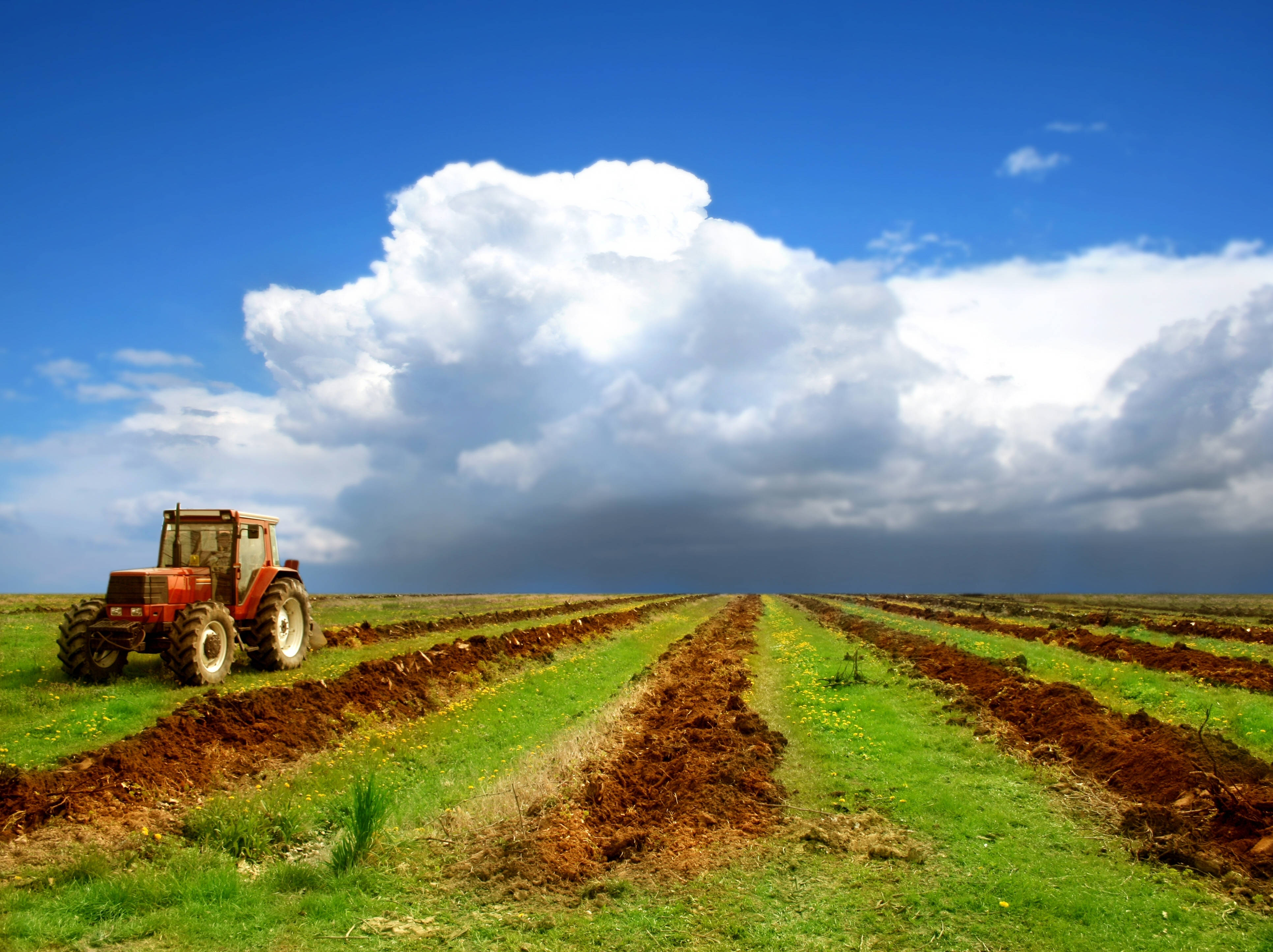 Agriculture 桌布 壁紙 — 一輛紅色拖拉機停在新翻耕的田野上，頭頂是廣闊的天空，點綴著戲劇性的白色和灰色雲朵。
