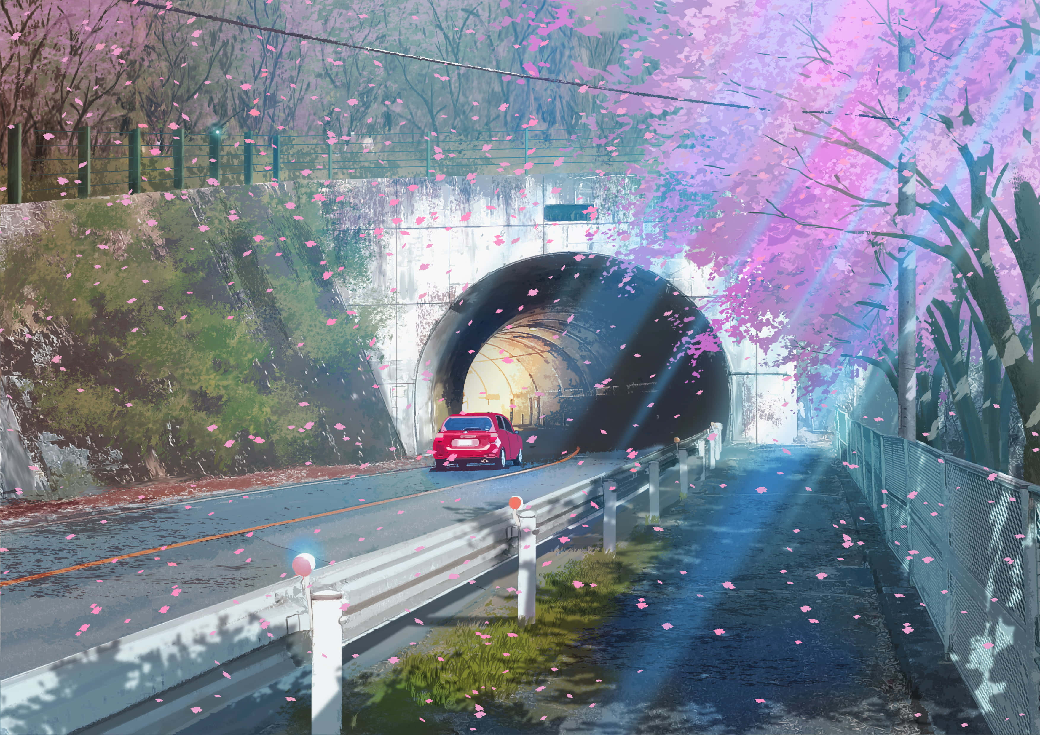 Anime Cherry Blossom 桌布 壁紙 — 一輛紅色汽車駛向一個隧道，隧道兩旁盛開著粉紅色的櫻花，花瓣在柔和的光線下飄落。