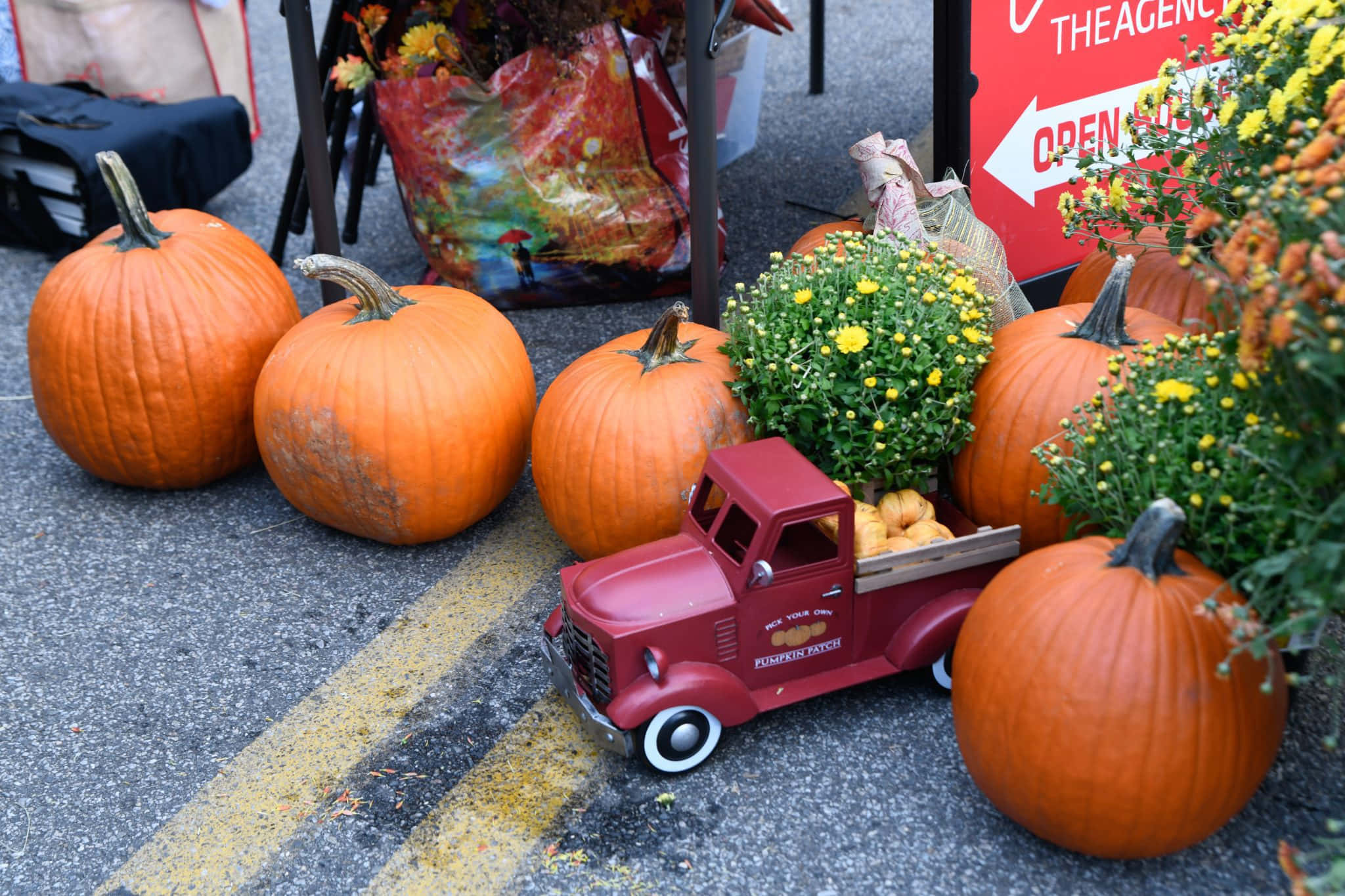 Fall Festival 桌布 壁紙 — 一輛紅色玩具卡車載著南瓜和黃色菊花，停在柏油路上，旁邊是真南瓜，在秋季節日活動中。