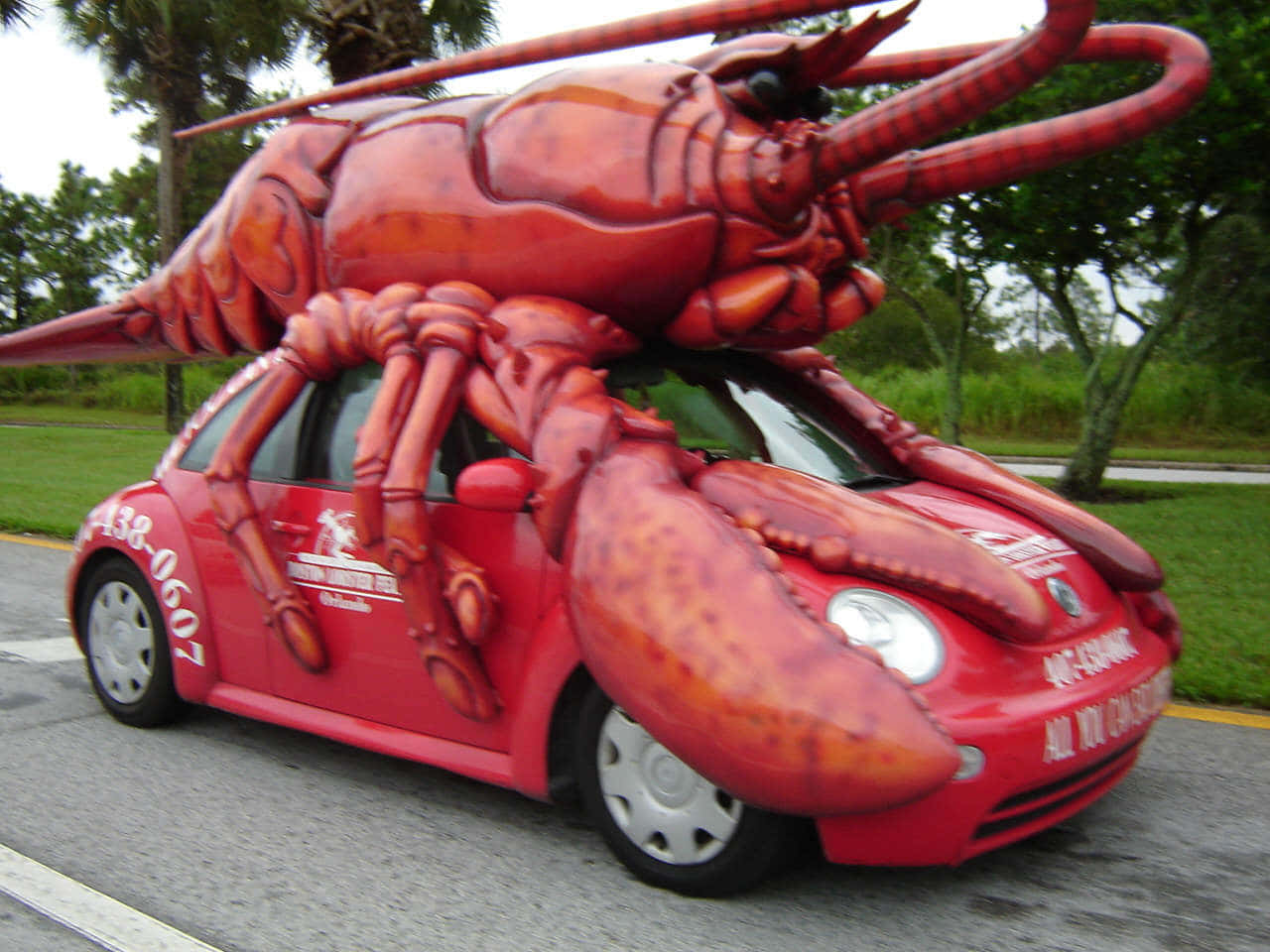 cars 桌布 壁紙 — 一輛紅色福斯金龜車被創意地改造成一隻帶有關節鉗子和觸角的巨型小龍蝦，沿著綠樹成蔭的道路行駛。