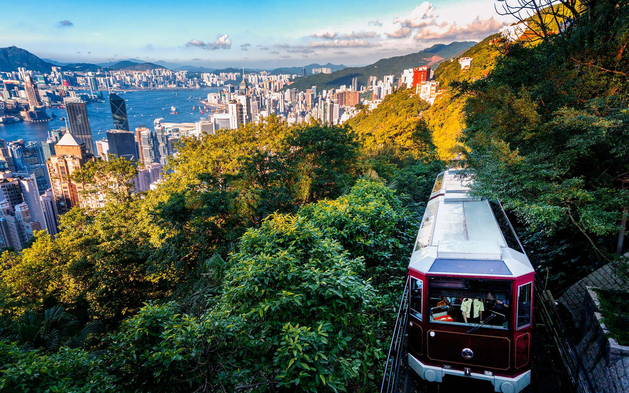 香港 桌布 壁紙 — 一輛紅色纜車在茂密的綠樹間滑行，俯瞰黃金時段香港密集的天際線和港口。