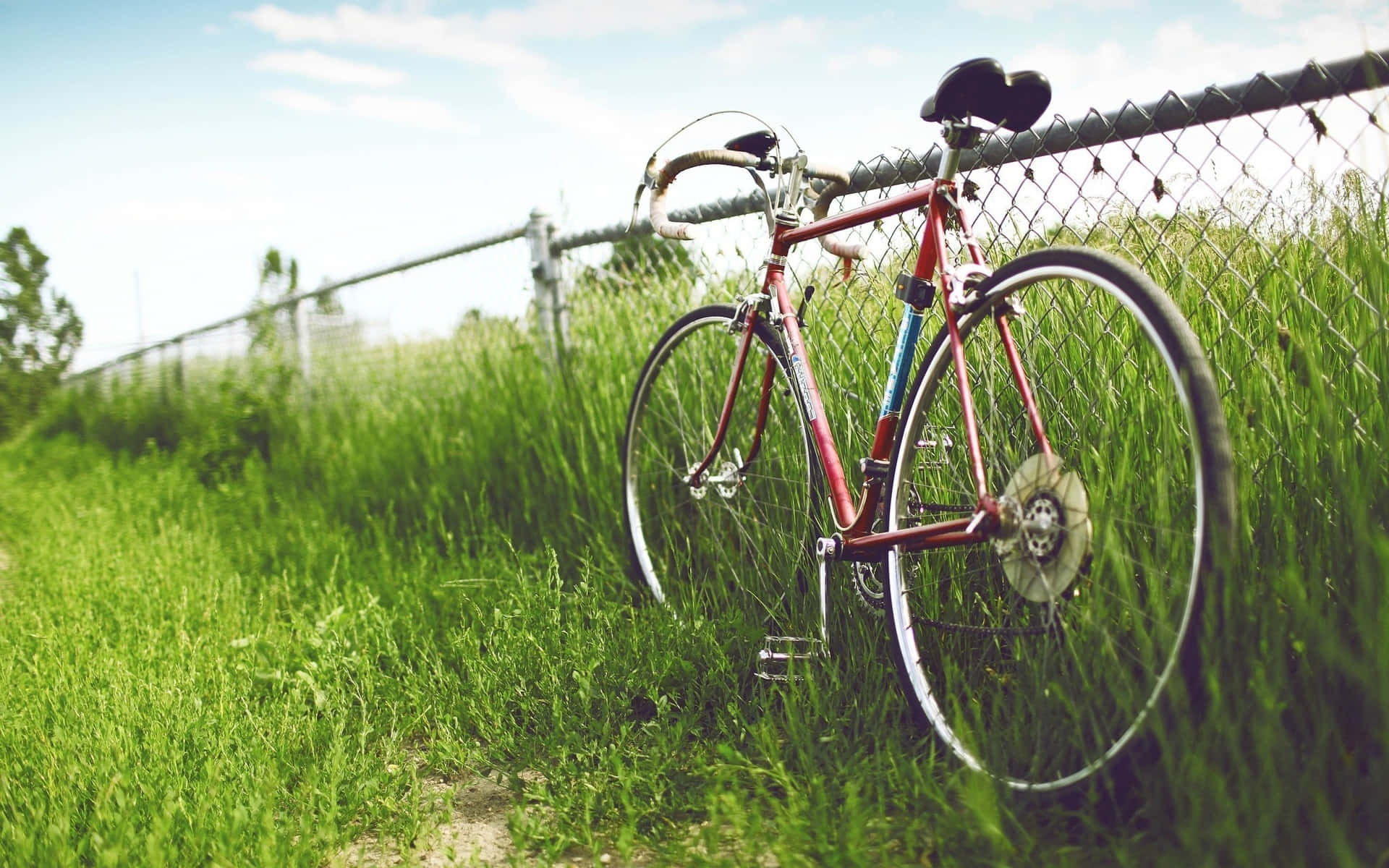 Bicycle 桌布 壁紙 — 一輛紅色腳踏車靠著鐵絲網圍欄，旁邊是高高的綠草，上方是明亮的藍天。