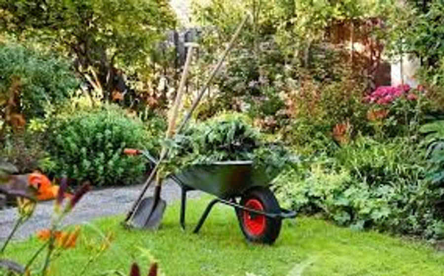 Garden 桌布 壁紙 — 一輛紅色輪子的綠色手推車放在草地上，旁邊有一把鏟子，周圍是開滿鮮花和茂密葉子的花園。