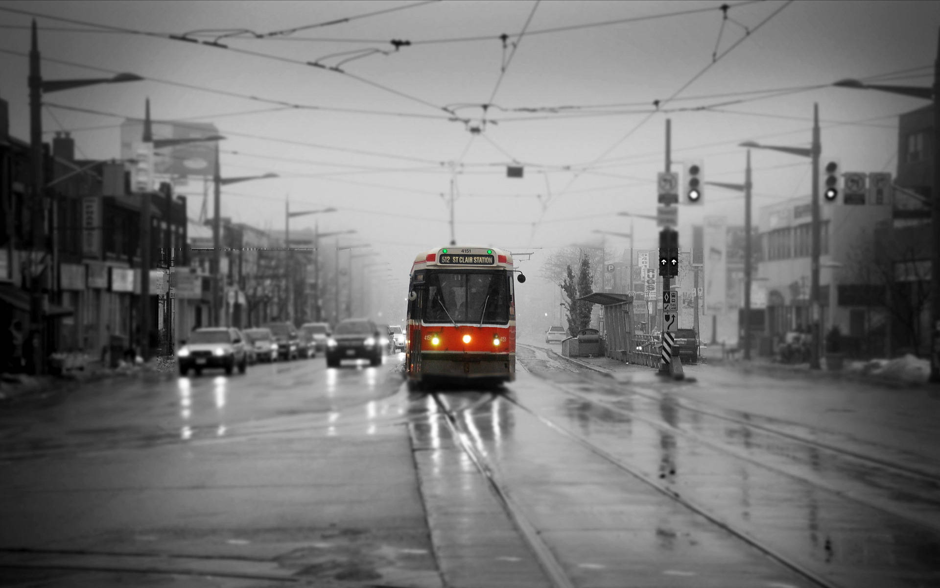 Toronto 桌布 壁紙 — 一輛紅色電車在潮濕的軌道上溫暖地發光，穿過單色調的城市街道，天空多雲。