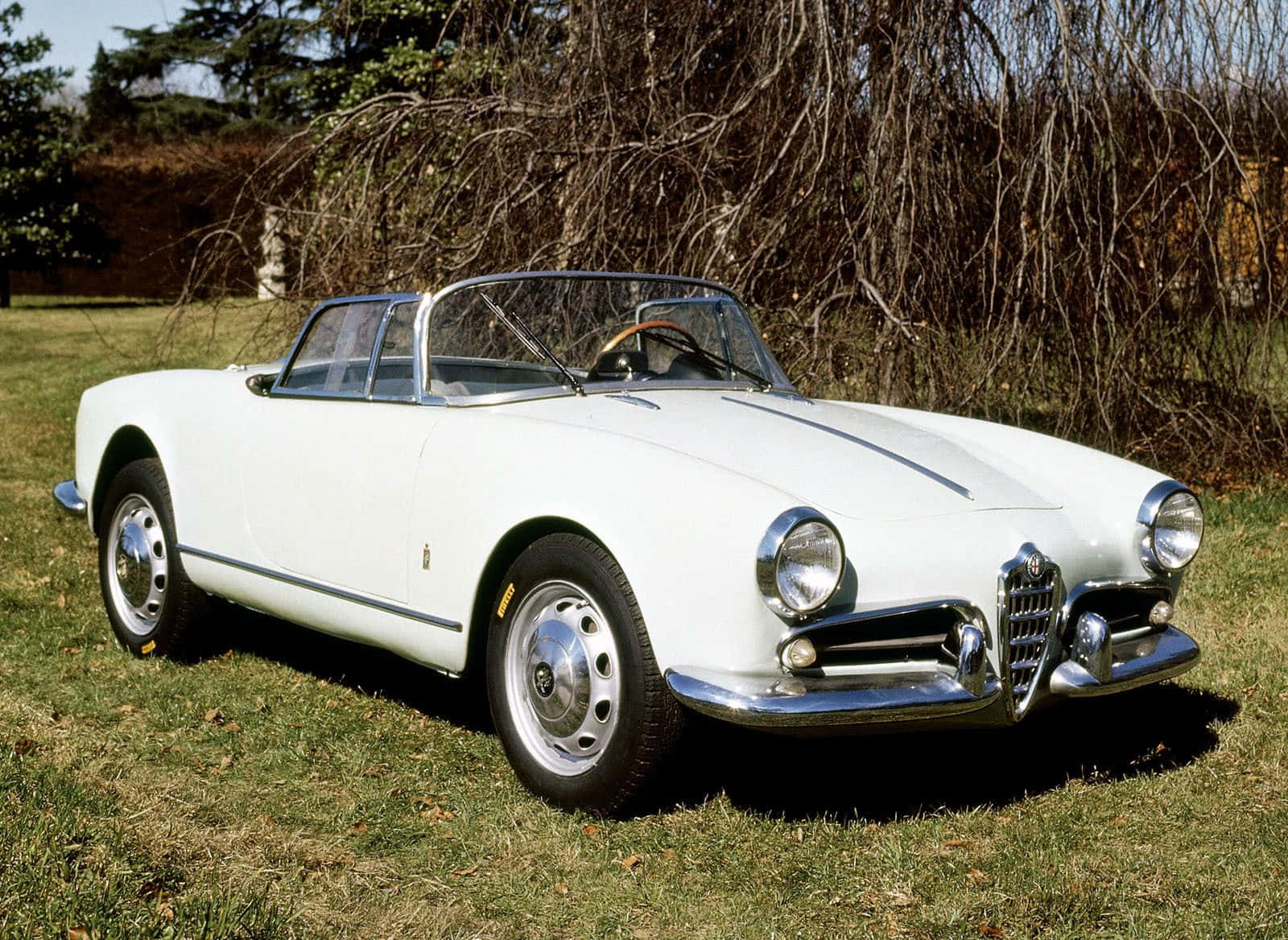 Alfa Romeo Spider 桌布 壁紙 — 一輛純白色復古Alfa Romeo Spider敞篷車停在草地上，背景有光禿禿的樹木。