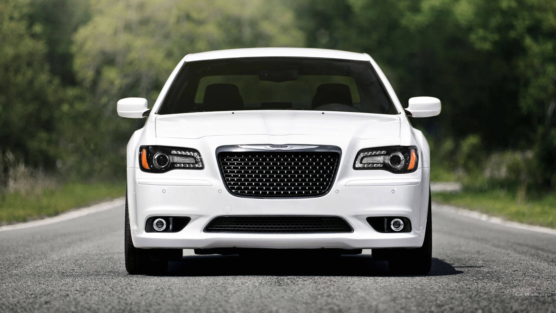 Chrysler 桌布 壁紙 — 一輛純白色的 Chrysler 300 轎車在陽光明媚的瀝青路上向前行駛，兩旁綠樹成蔭。