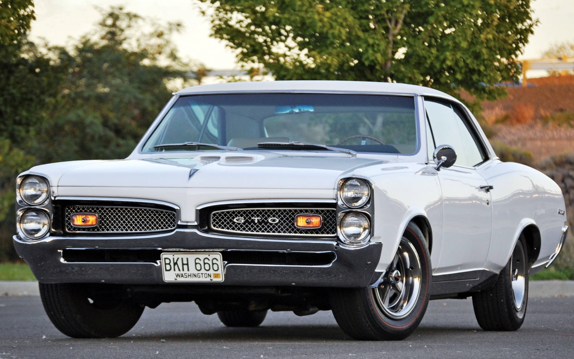 龐蒂克 桌布 壁紙 — 一輛純白色的1960年代Pontiac GTO肌肉車在黃金時段的光芒下閃耀，搭配鍍鉻飾邊和紅線輪胎。