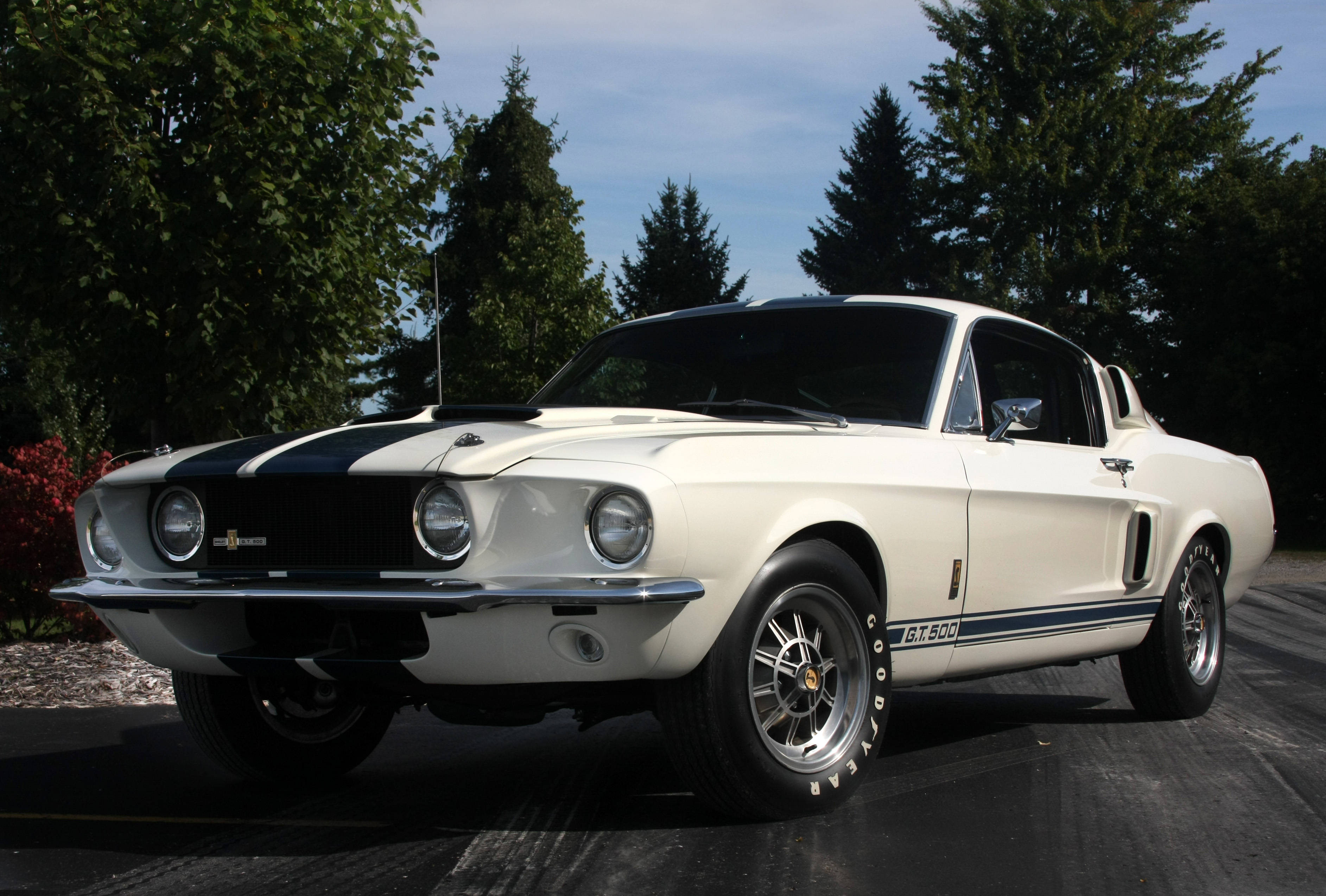 shelby iPhone 桌布 壁紙 — 一輛純白色的1967年Shelby GT500 Mustang，帶有黑色賽車條紋，停在柏油路面上，背景是晴朗的藍天和茂密的綠樹。